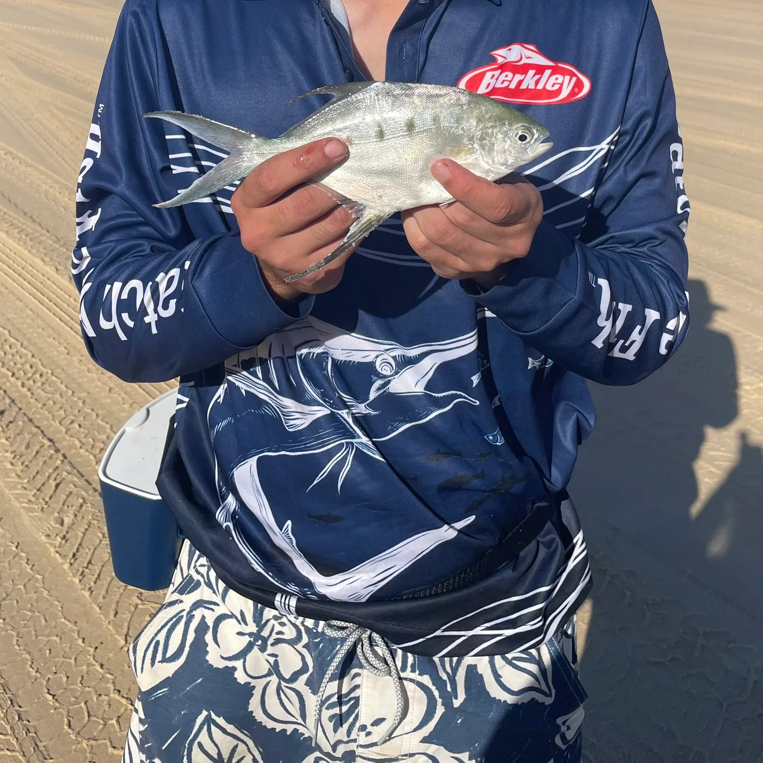 The most recent Largespotted dart catches on Fishbrain