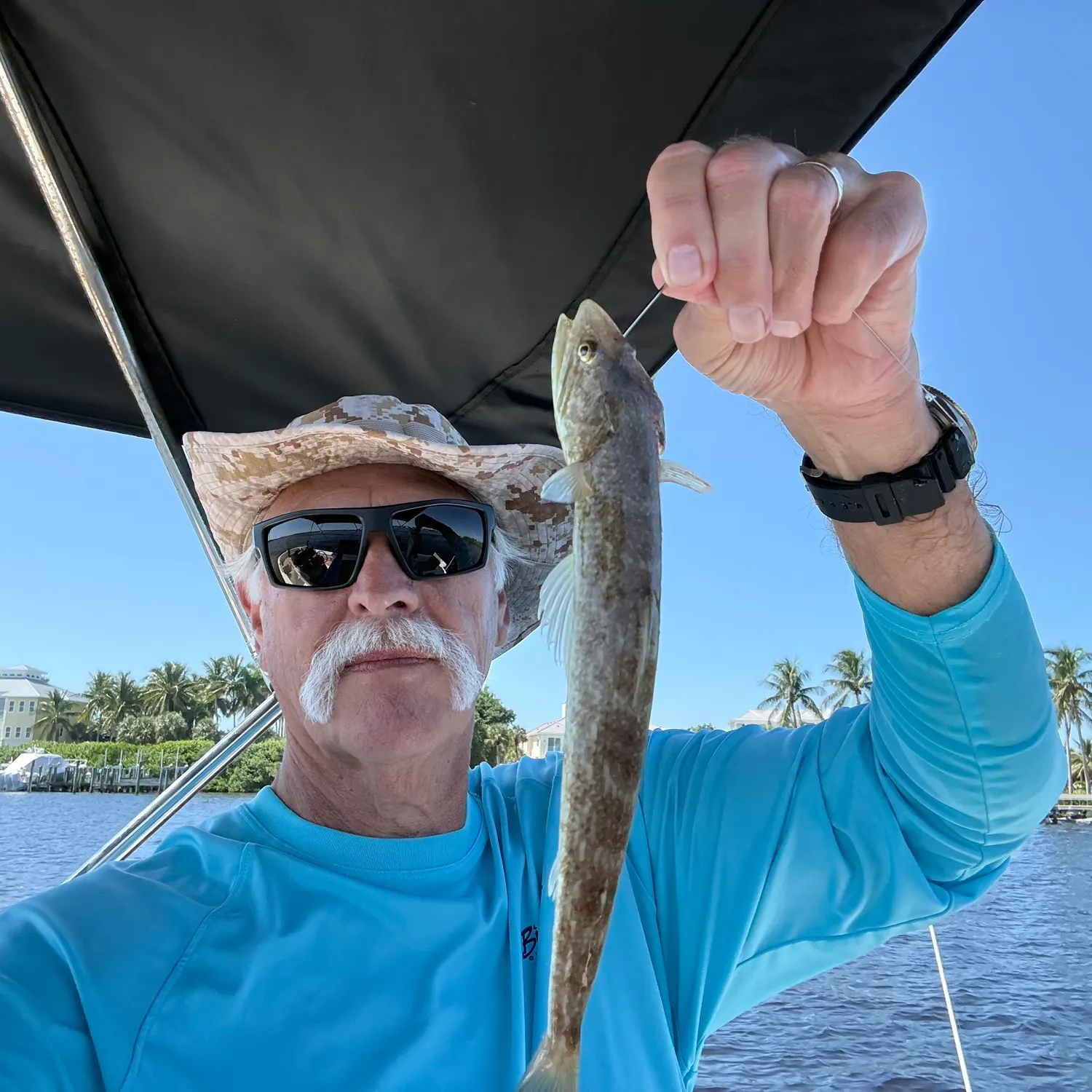 Inshore lizardfish caught on Fishbrain