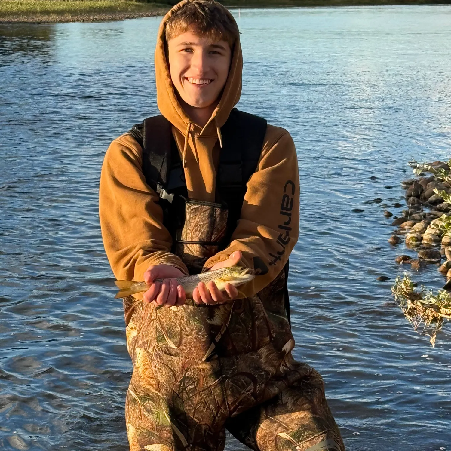 Brown trout caught on Fishbrain