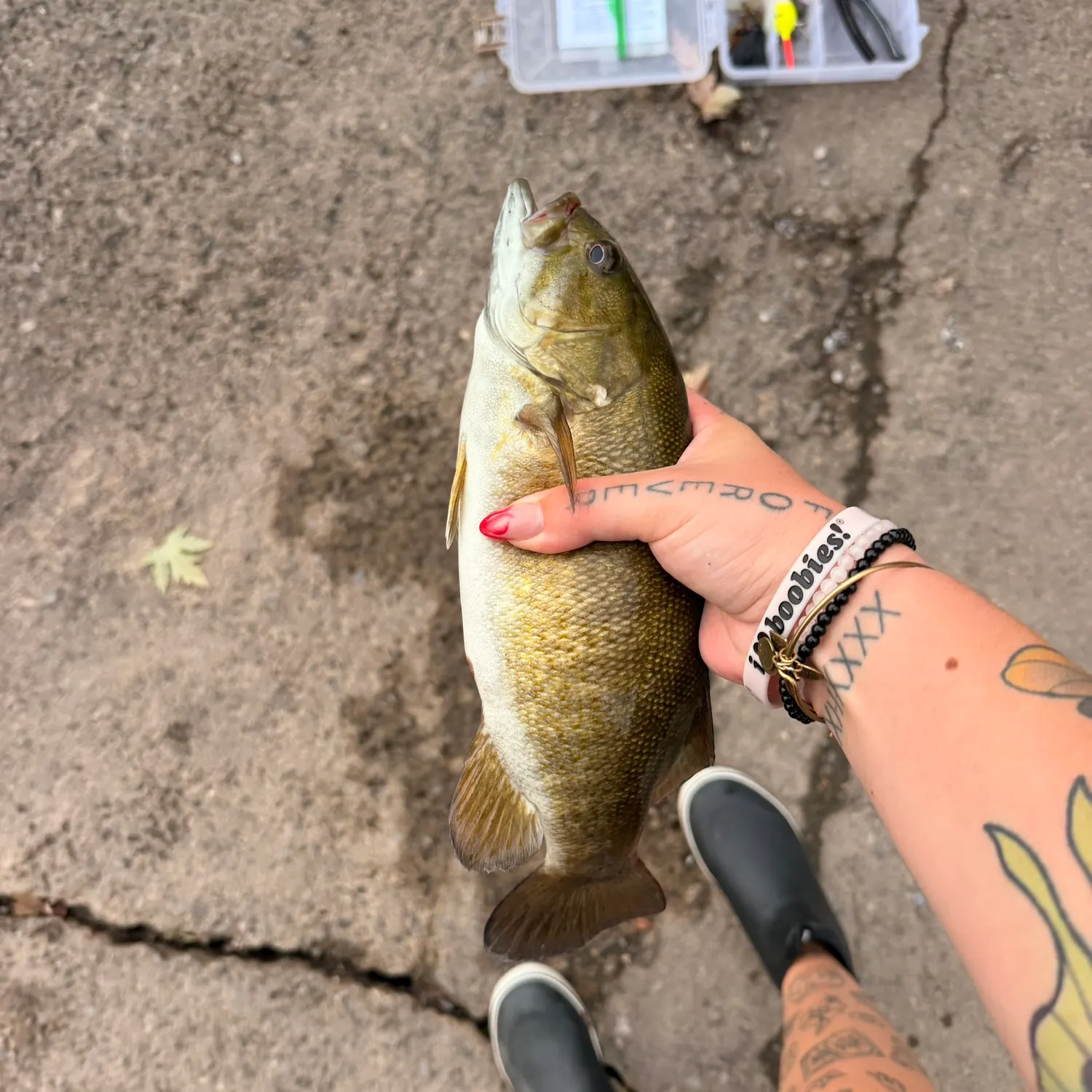catch
