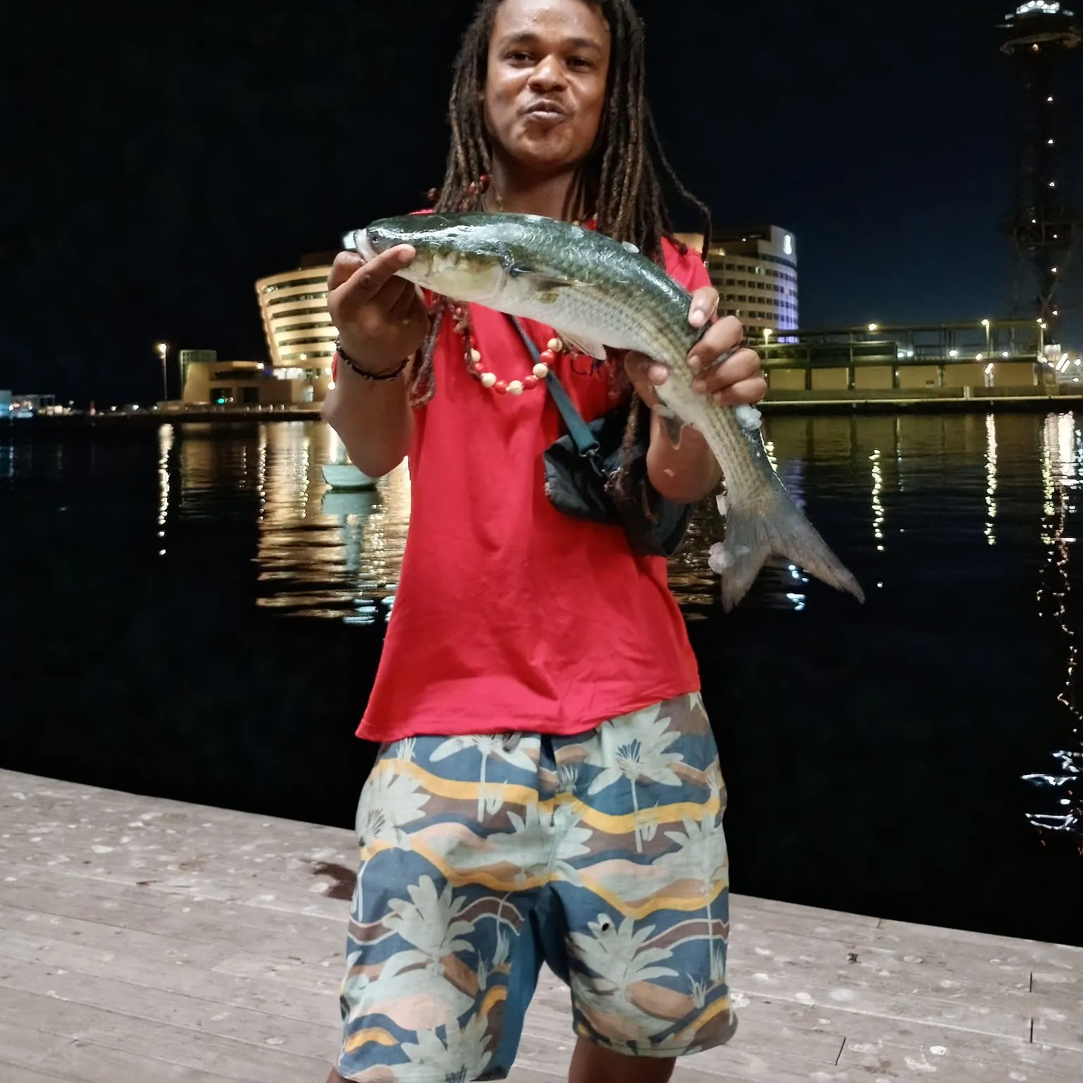 The most recent Giant sea bass catches on Fishbrain