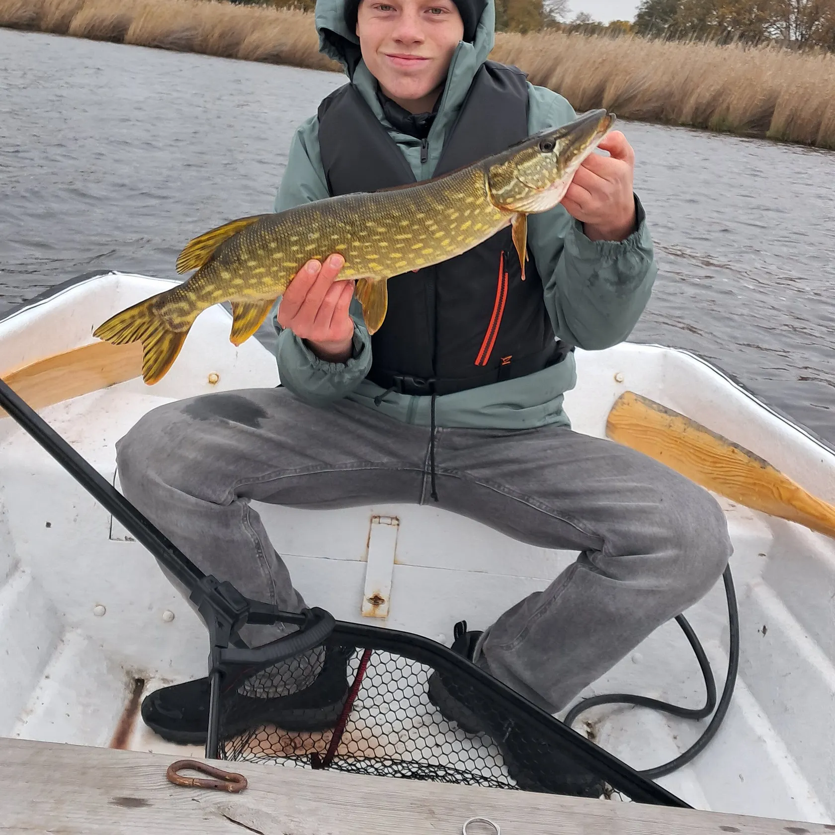 Northern pike caught on Fishbrain