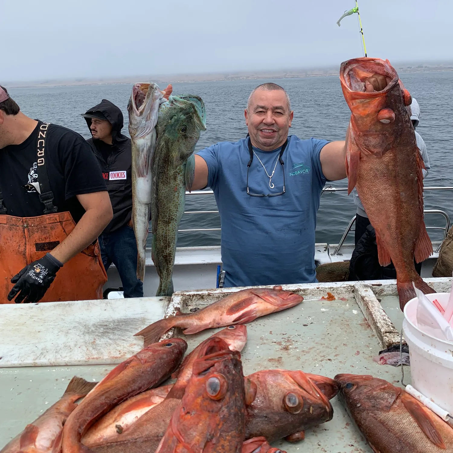 The most recent Lingcod catches on Fishbrain