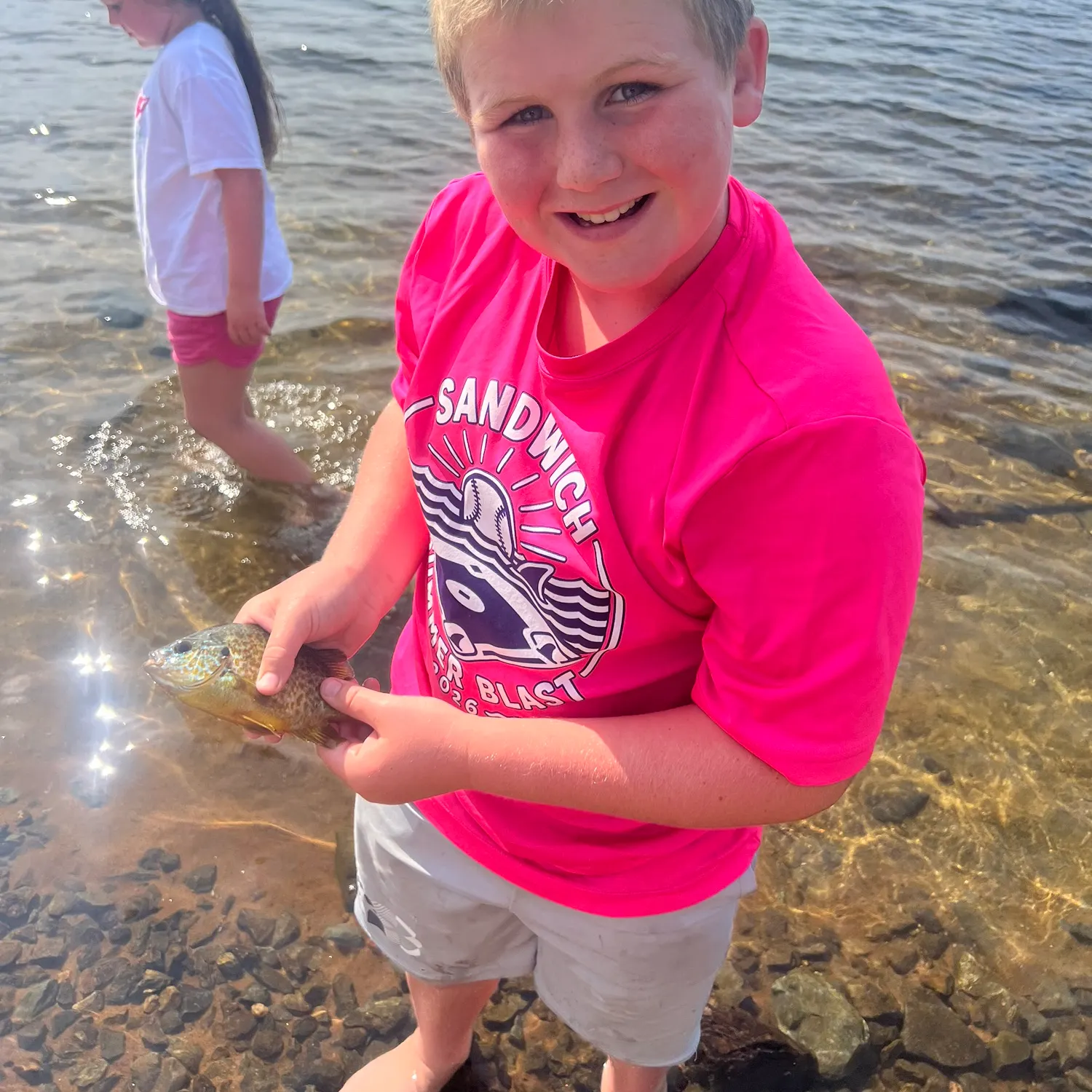 Pumpkinseed caught on Fishbrain