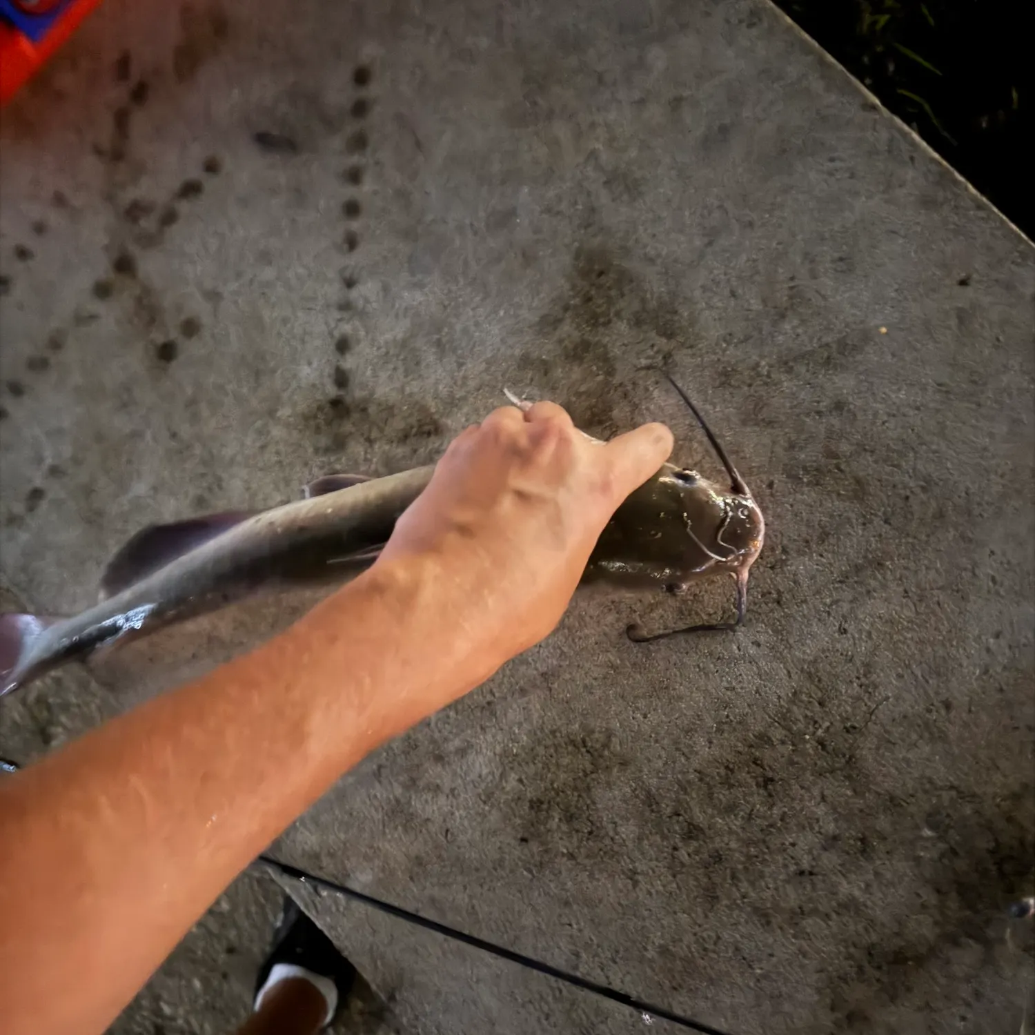 catch