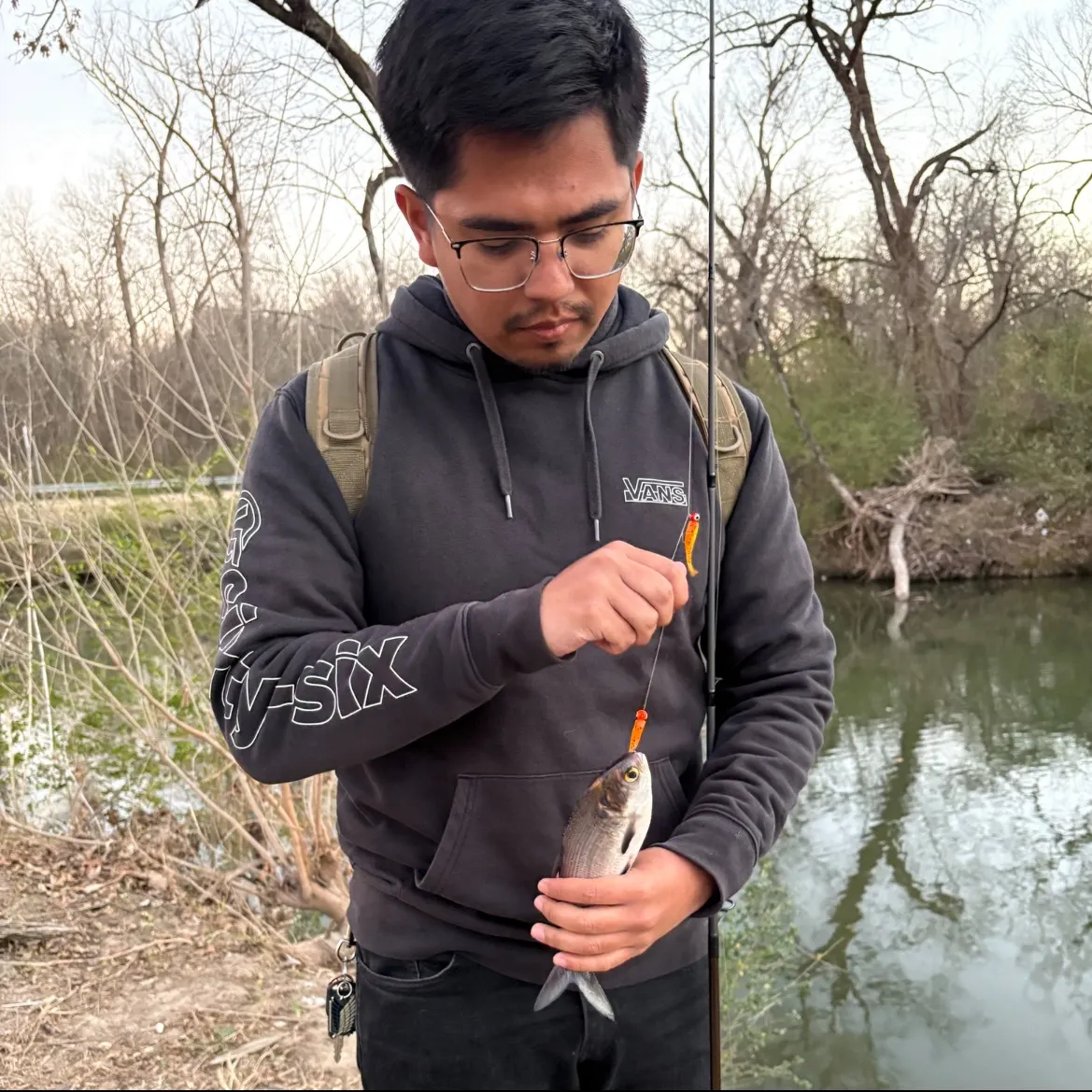The most recent American gizzard shad catches on Fishbrain