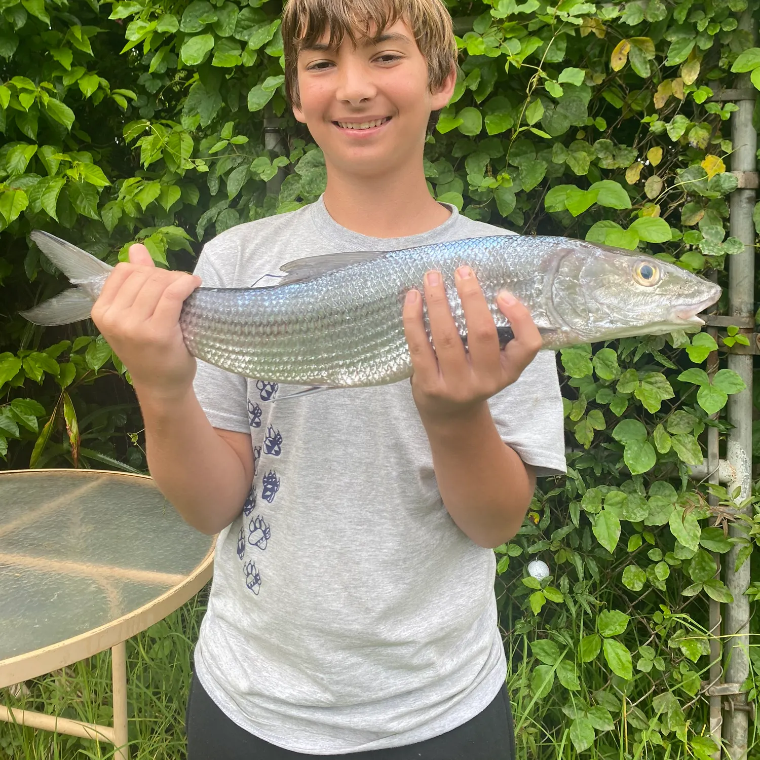 The most recent West Atlantic bonefish catches on Fishbrain