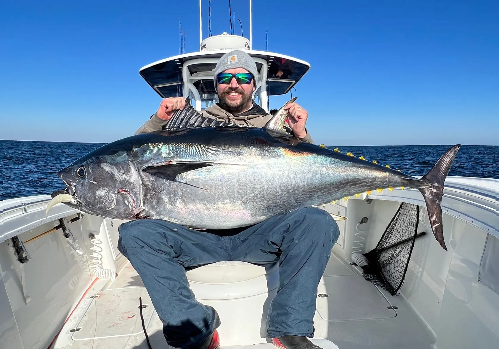 Atlantic bluefin tuna