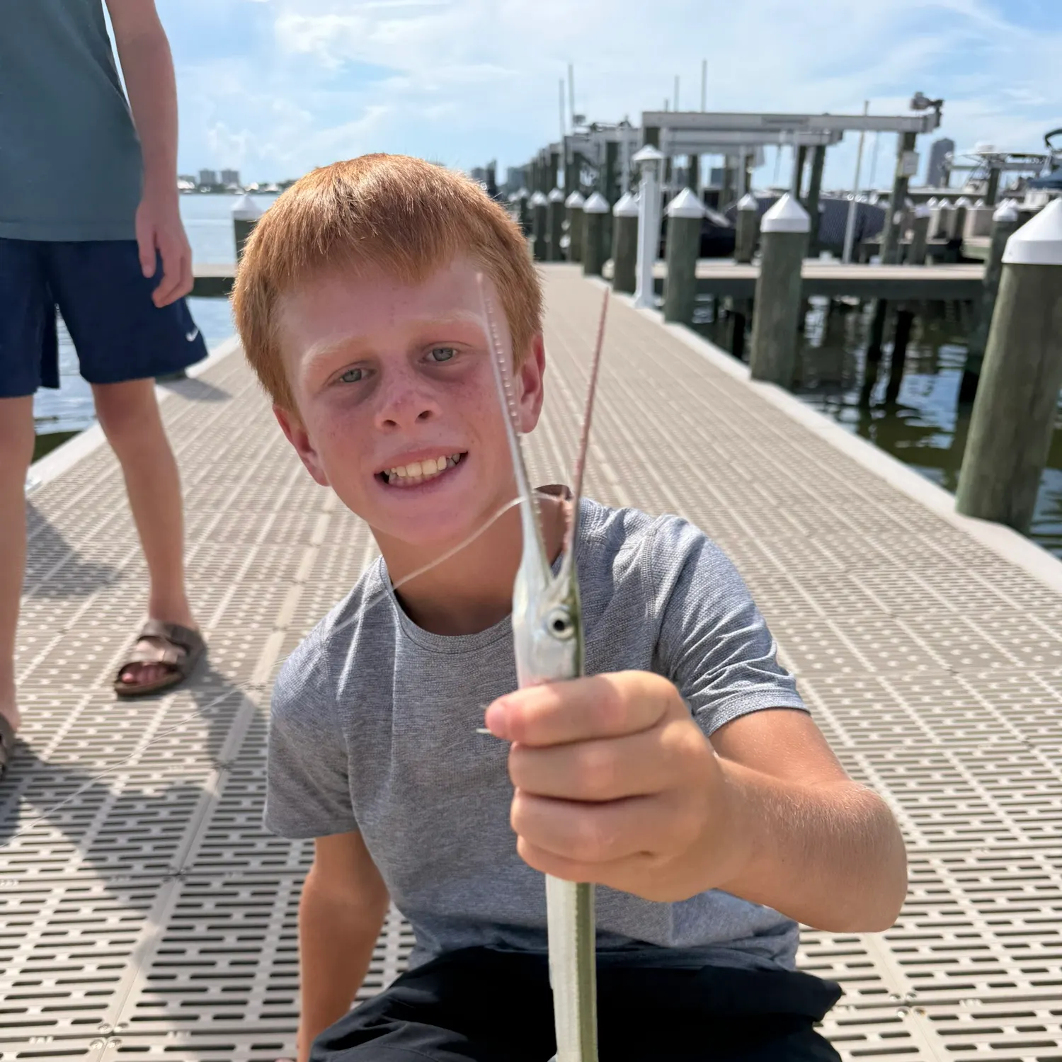 Atlantic needlefish caught on Fishbrain