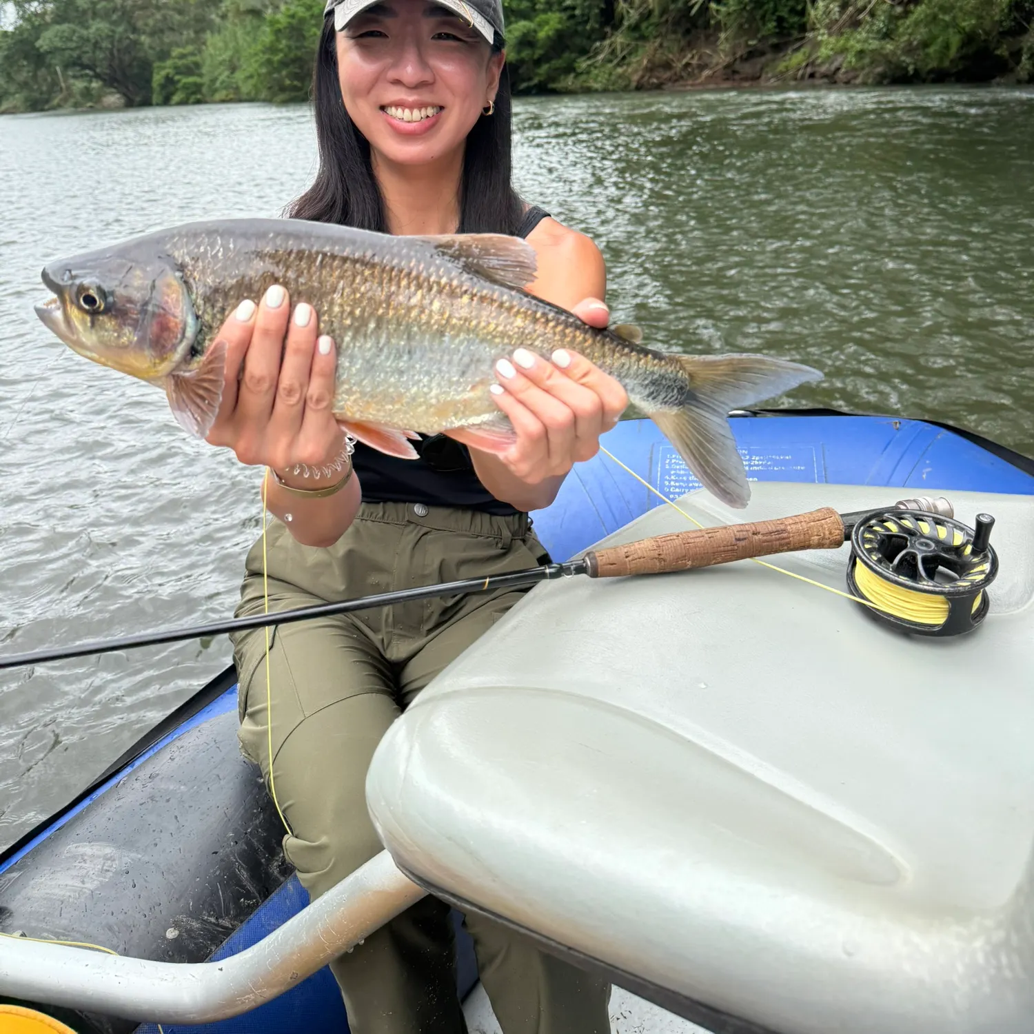 The most recent Machaca catches on Fishbrain