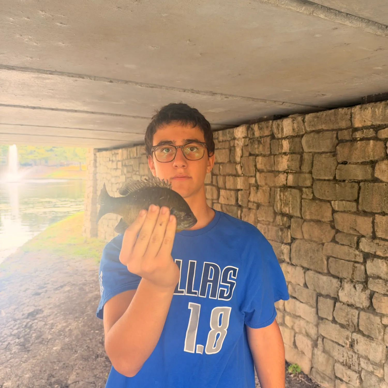 Bluegill caught on Fishbrain