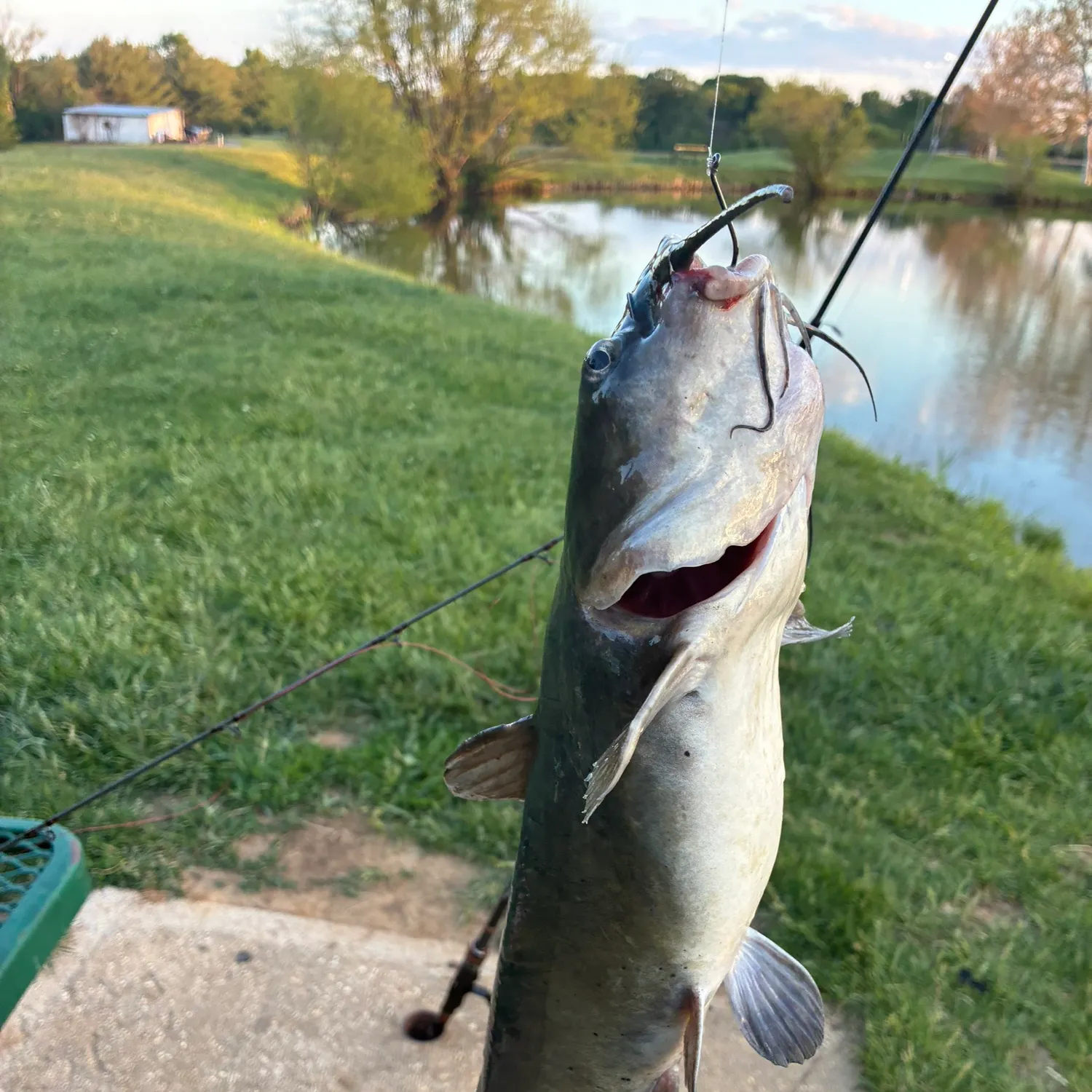 catch