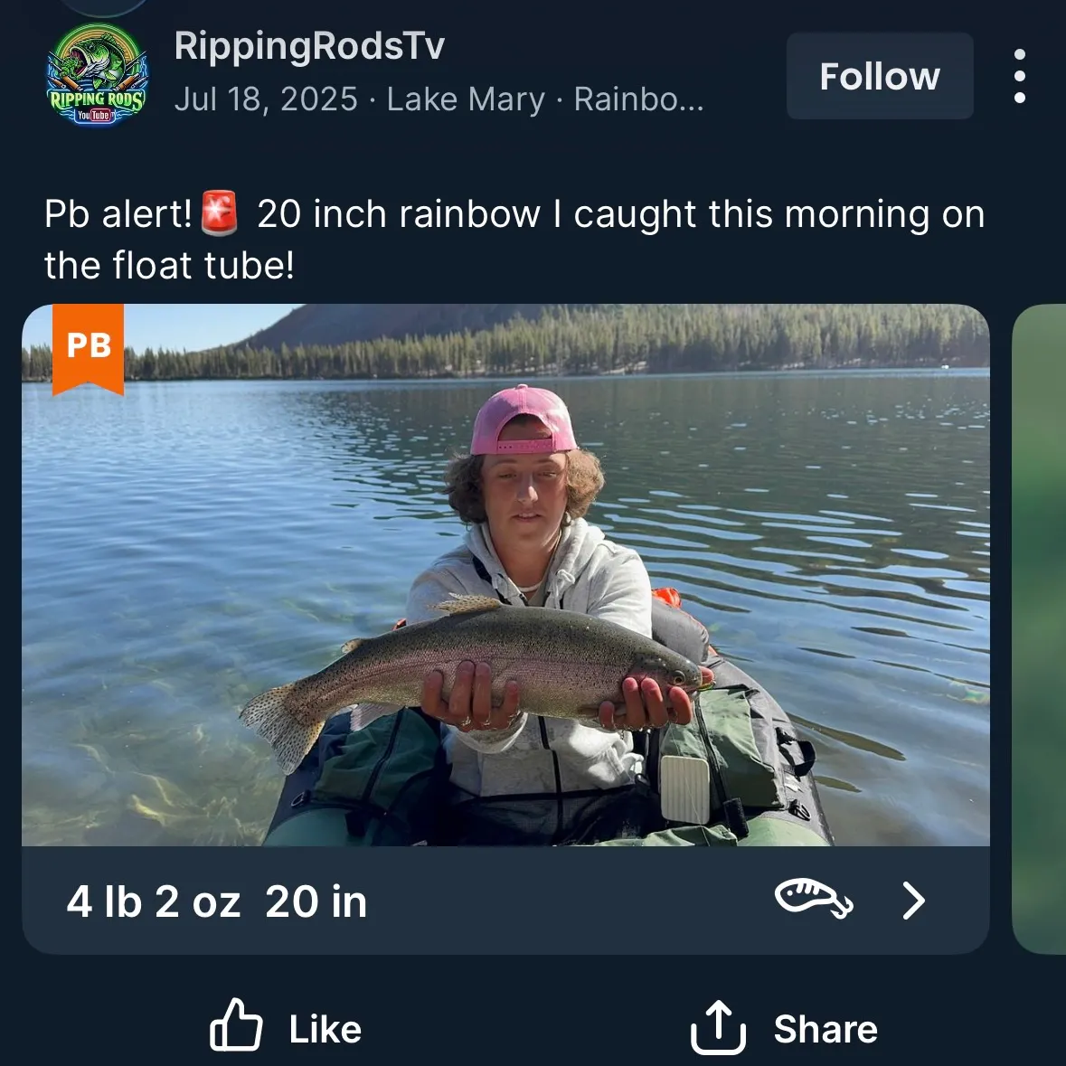 Hornyhead chub caught on Fishbrain