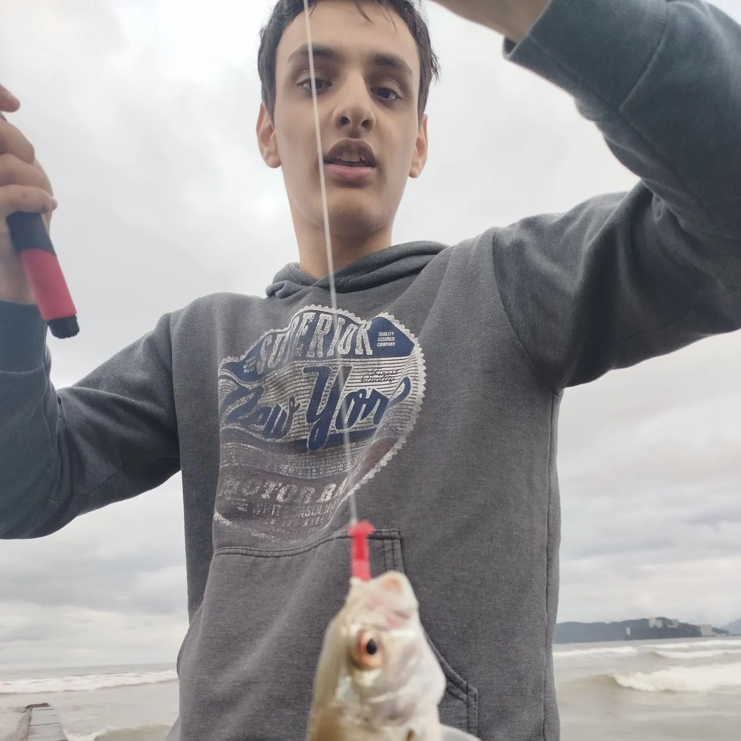 The most recent Horse-eye jack catches on Fishbrain