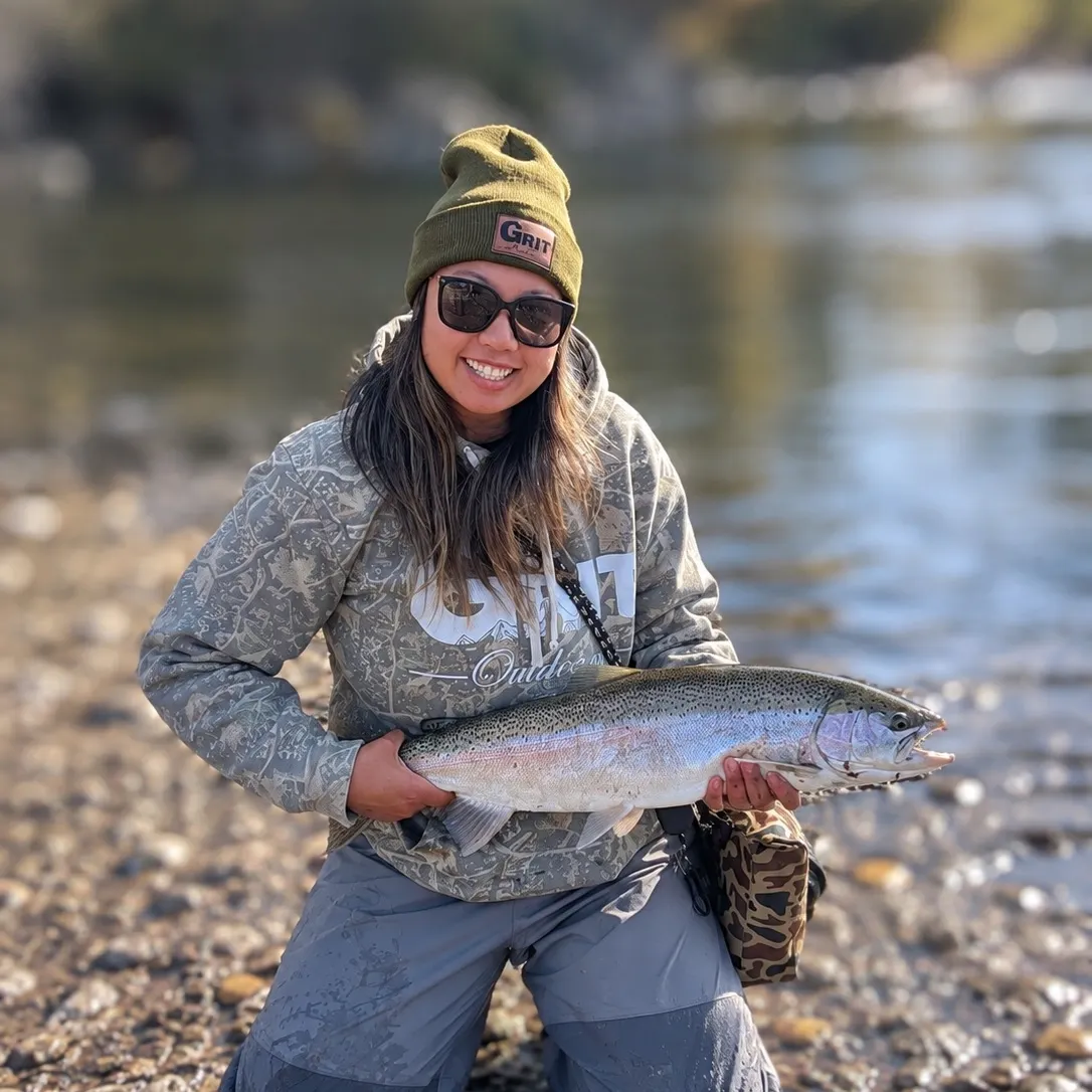 Steelhead caught on Fishbrain