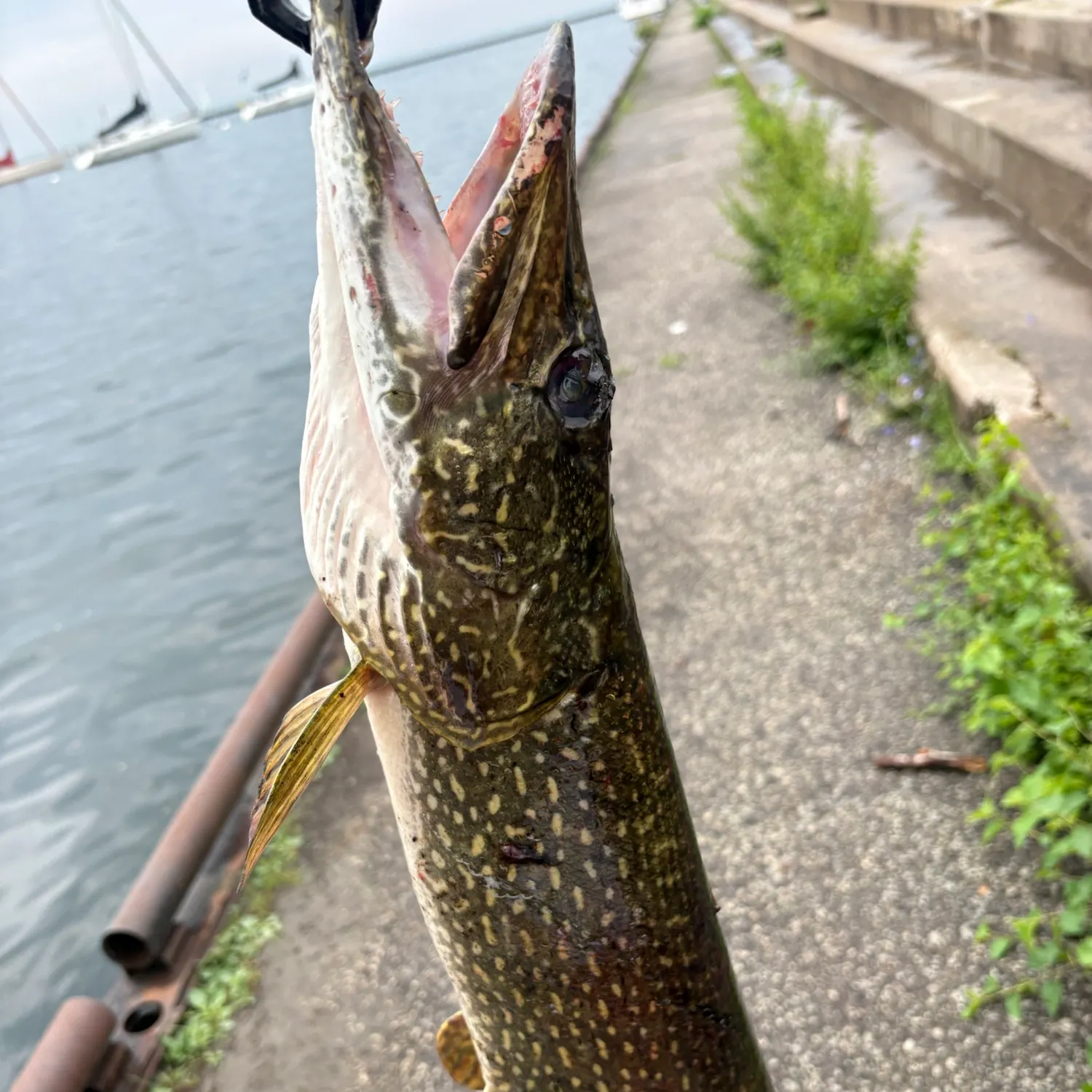 catch