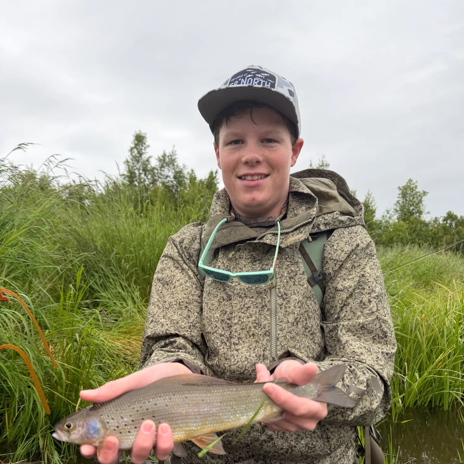 The most recent Arctic grayling catches on Fishbrain