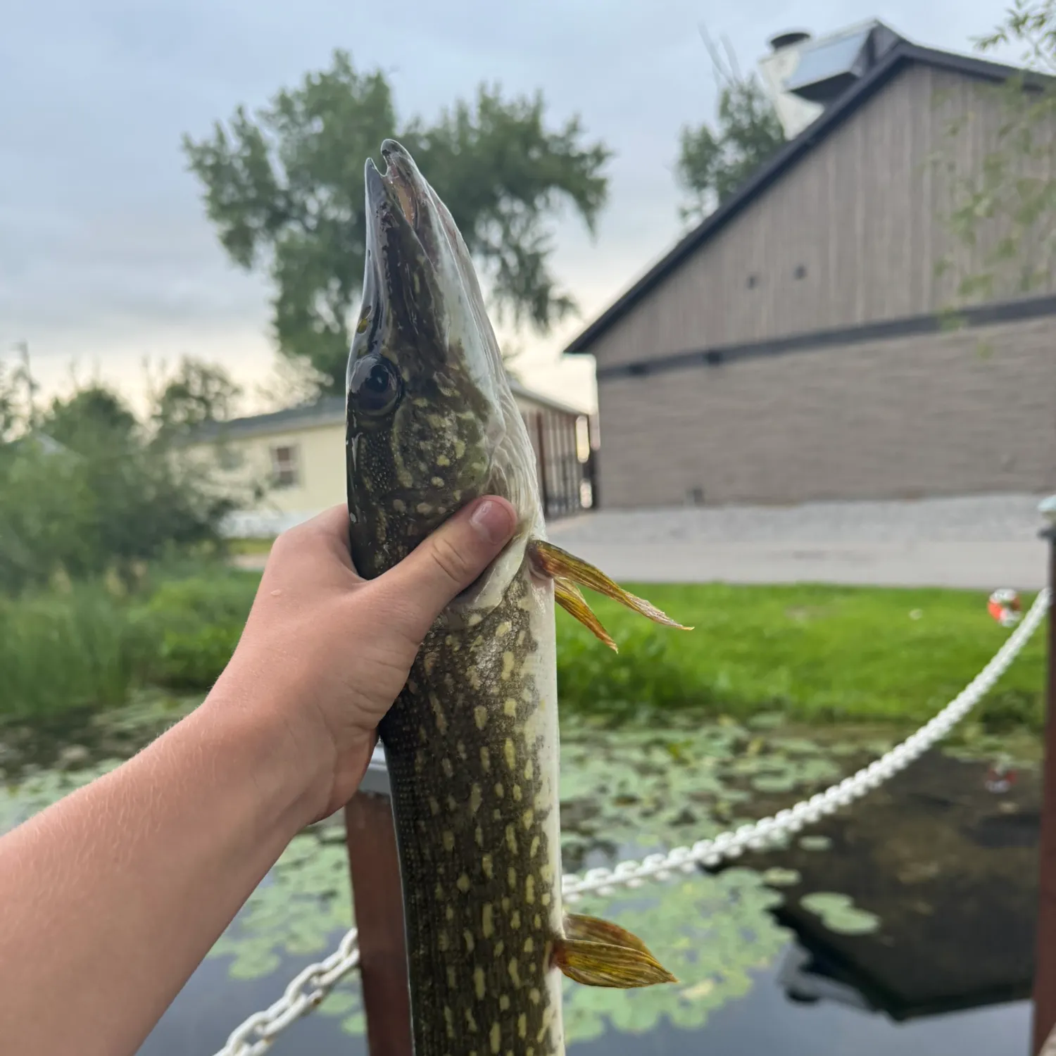 catch