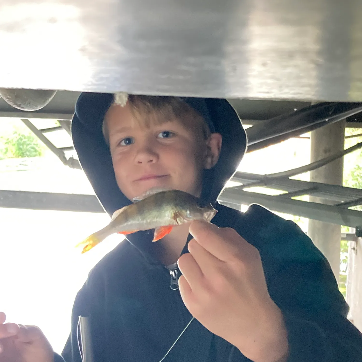 European perch caught on Fishbrain