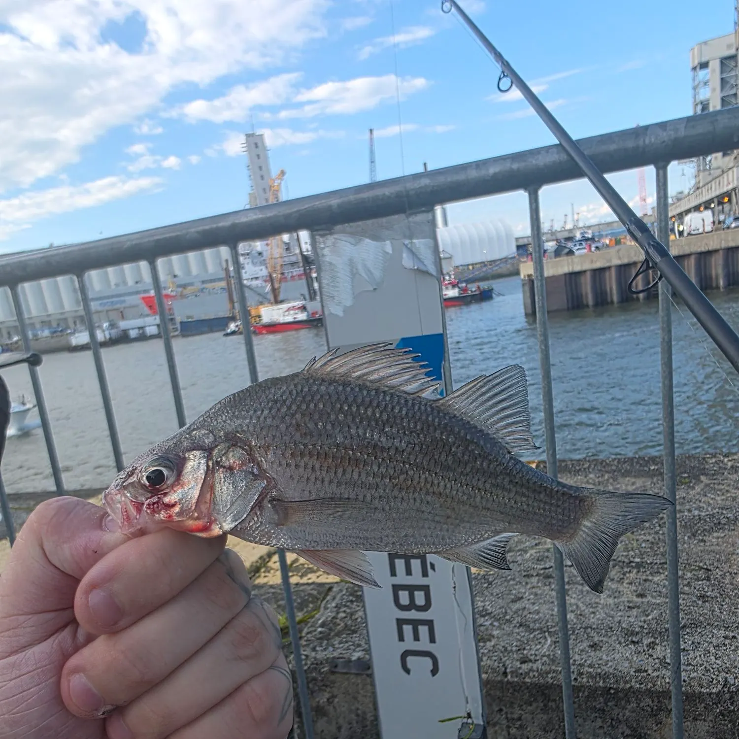 catch