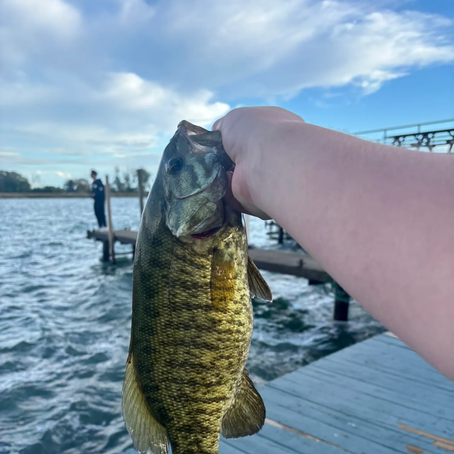 Smallmouth bass caught on Fishbrain
