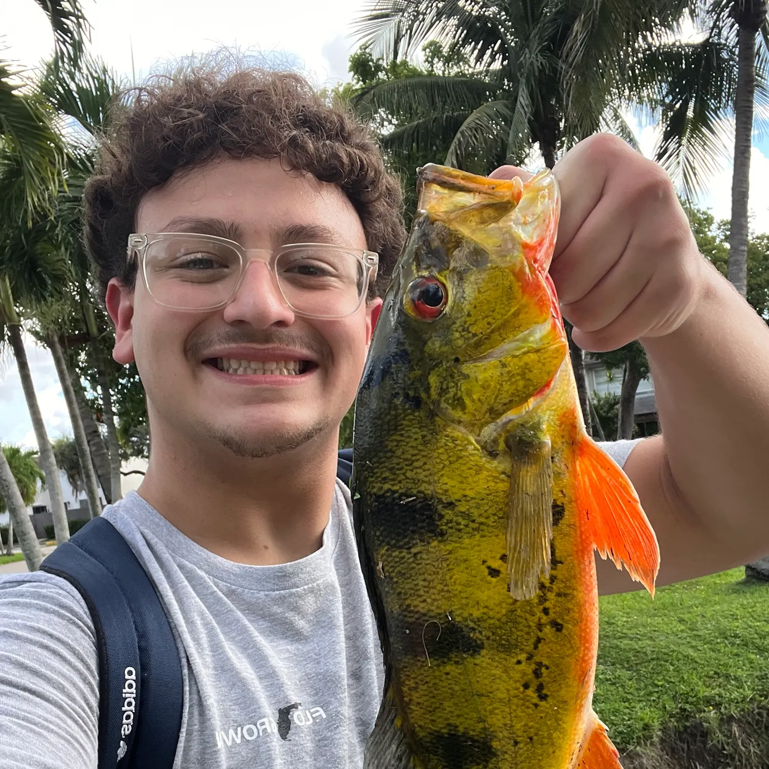 Butterfly peacock bass caught on Fishbrain