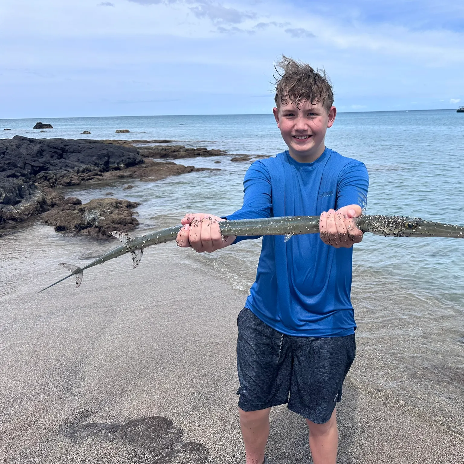 The most recent Bluespotted cornetfish catches on Fishbrain