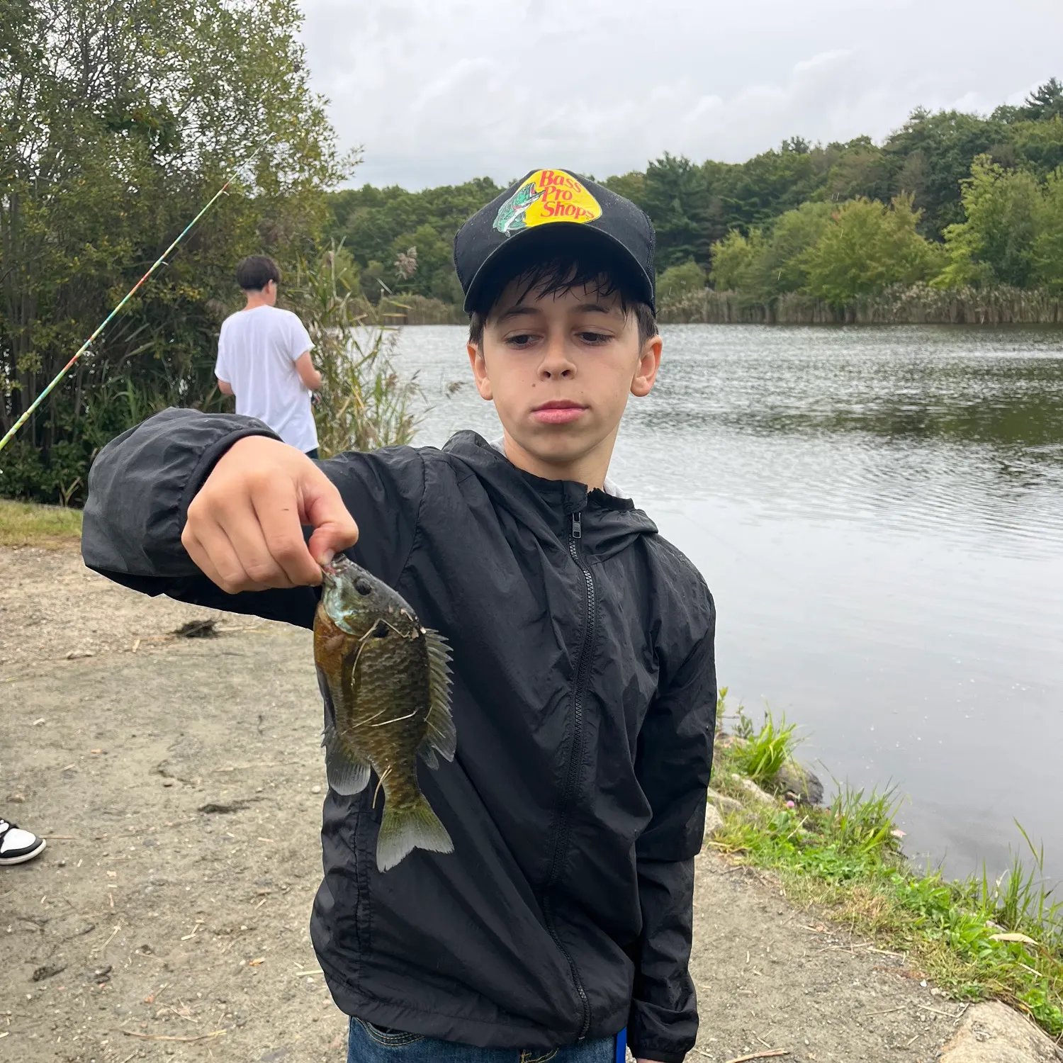 Smallmouth bass caught on Fishbrain