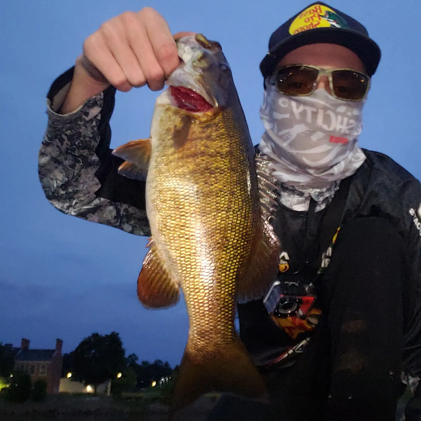 Smallmouth bass caught on Fishbrain