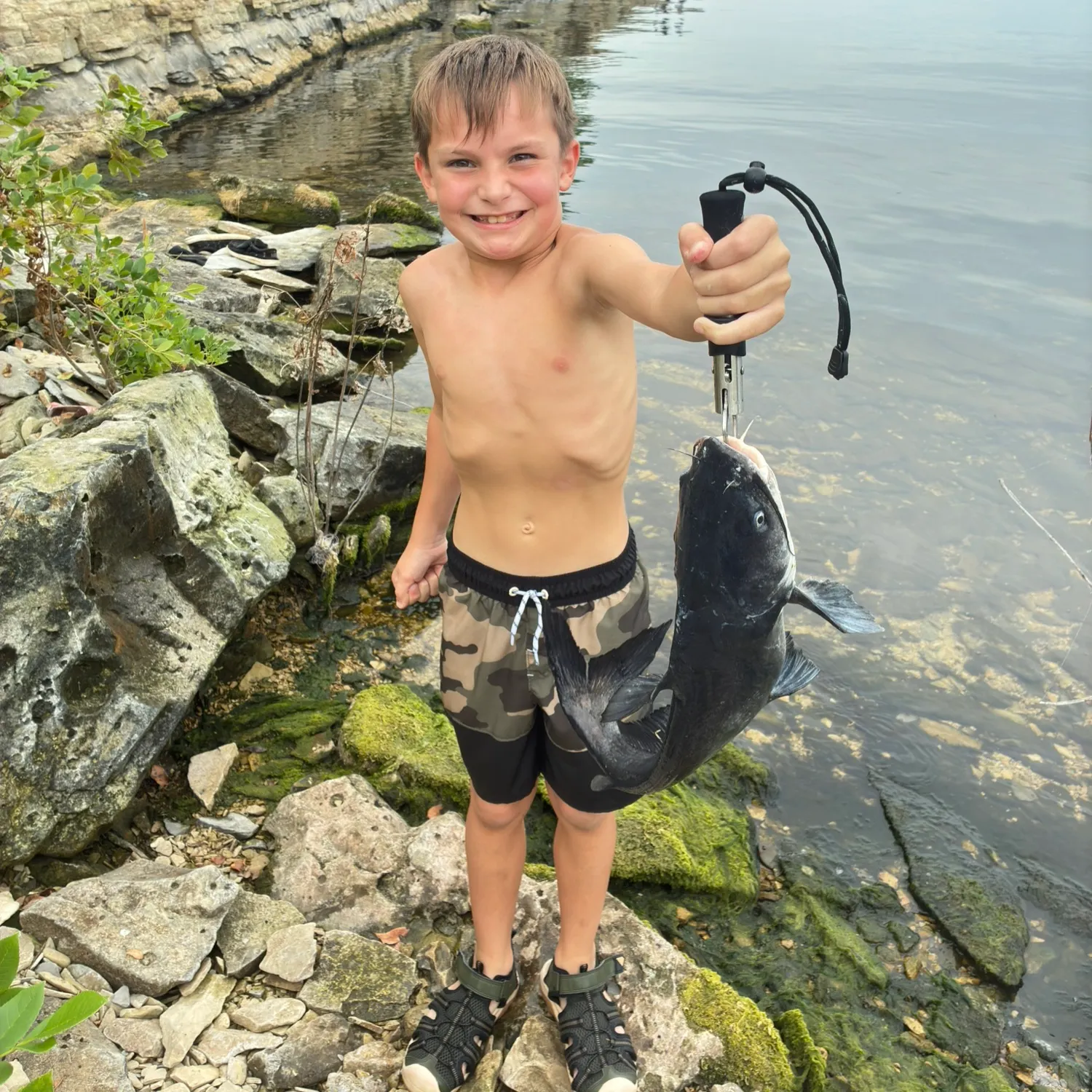Blue catfish caught on Fishbrain