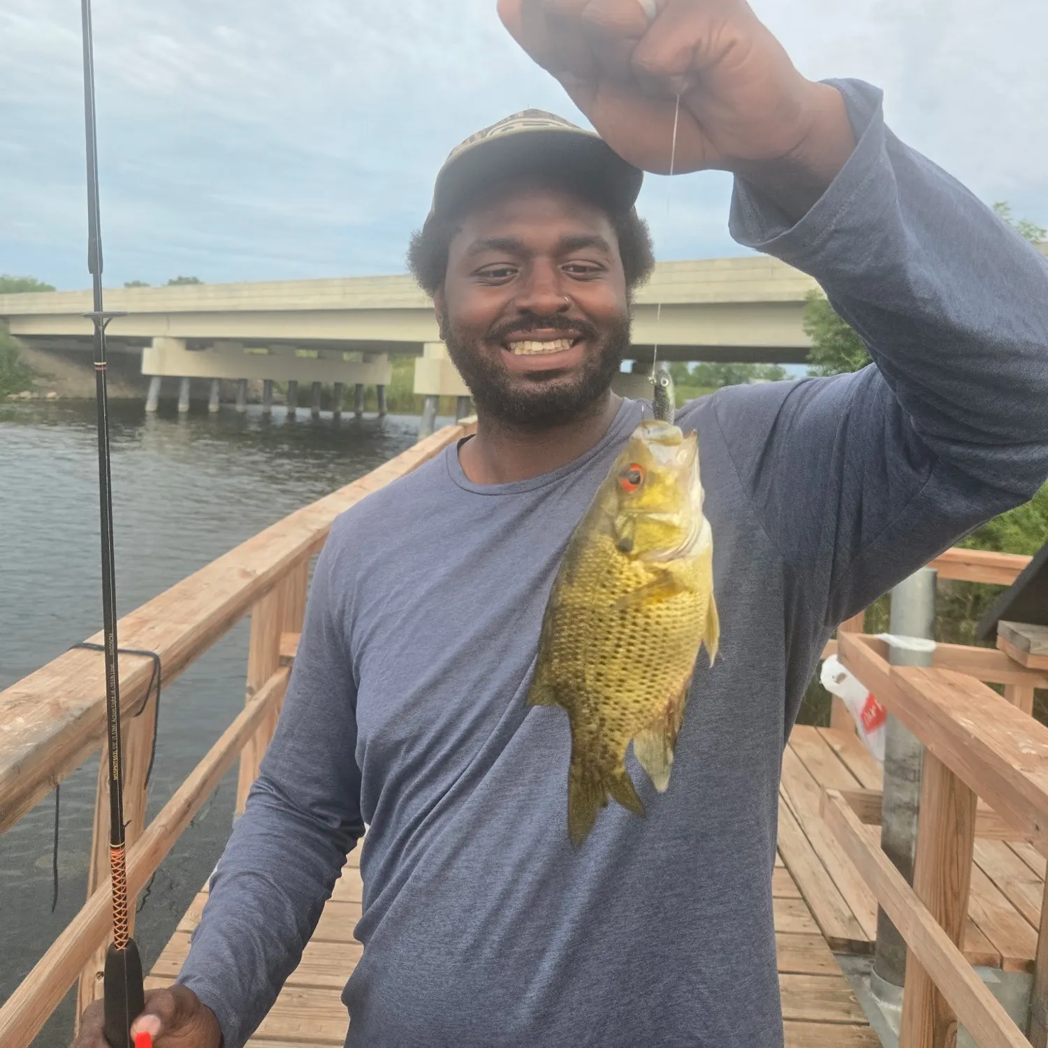 Rock bass caught on Fishbrain