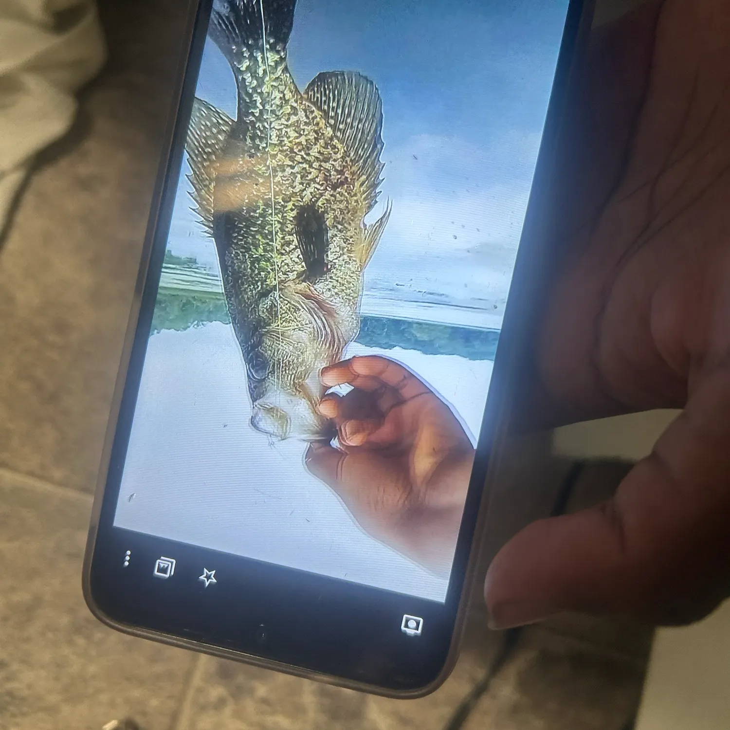Fish caught on Fishbrain