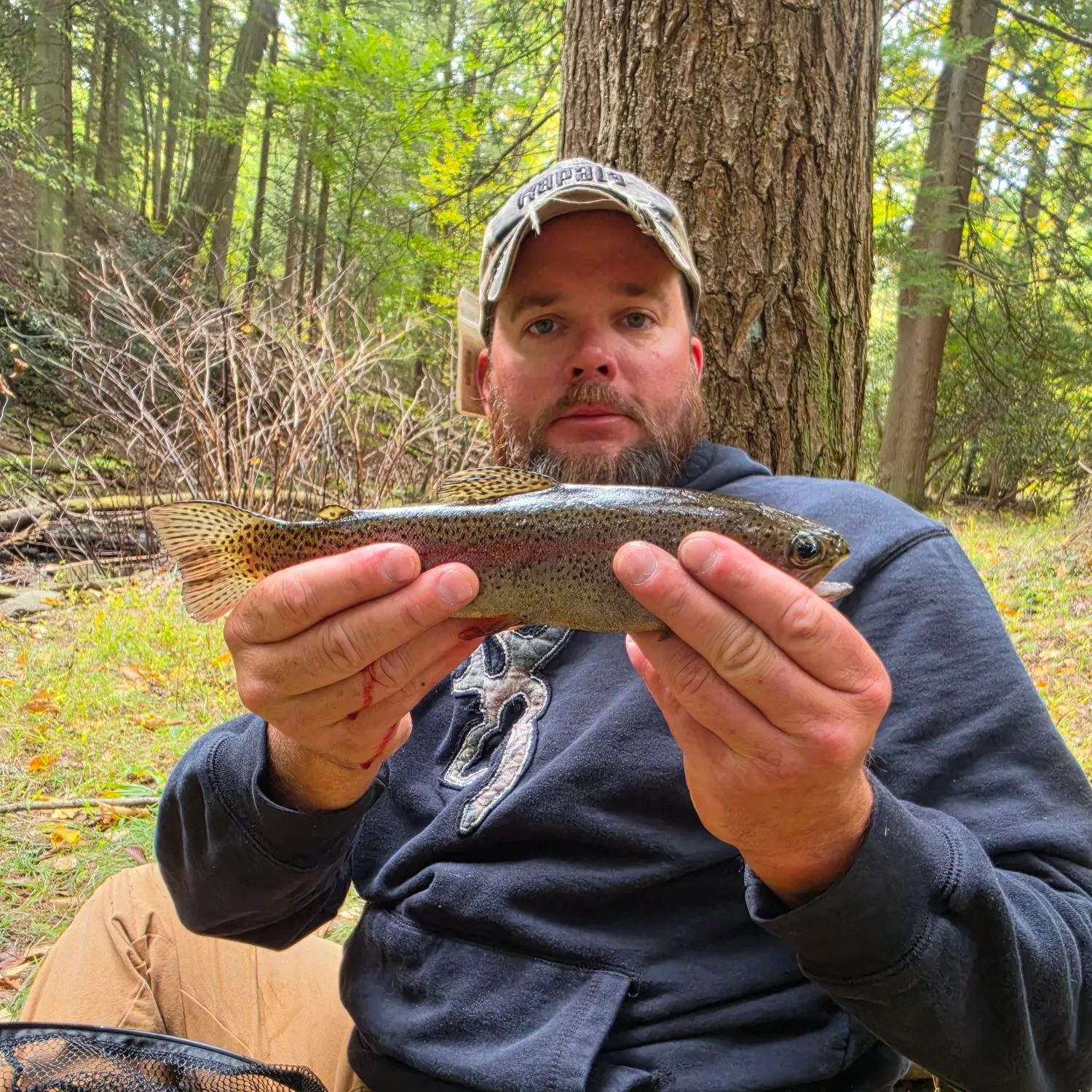Rainbow trout caught on Fishbrain