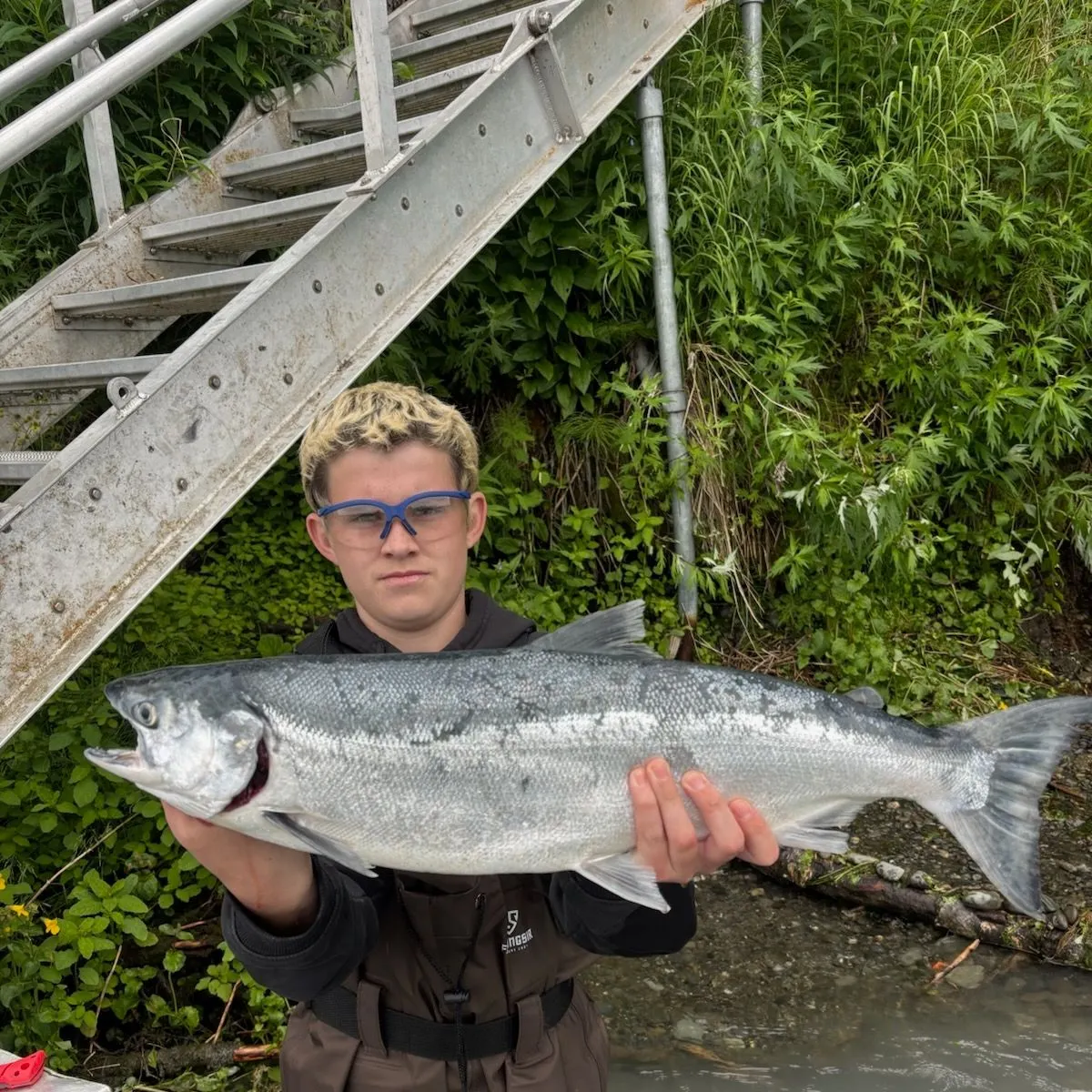 Sockeye salmon caught on Fishbrain