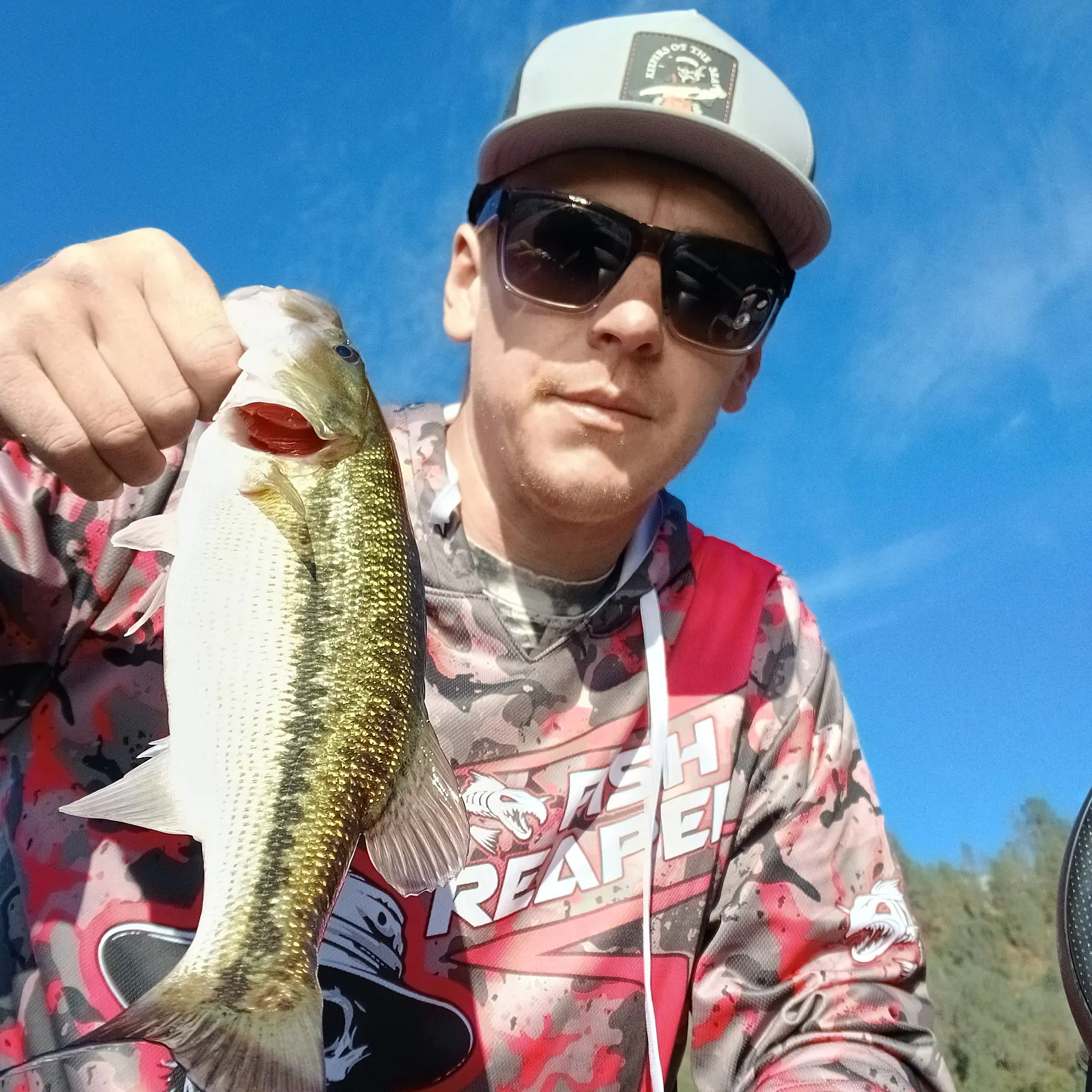 The most recent Spotted bass catches on Fishbrain