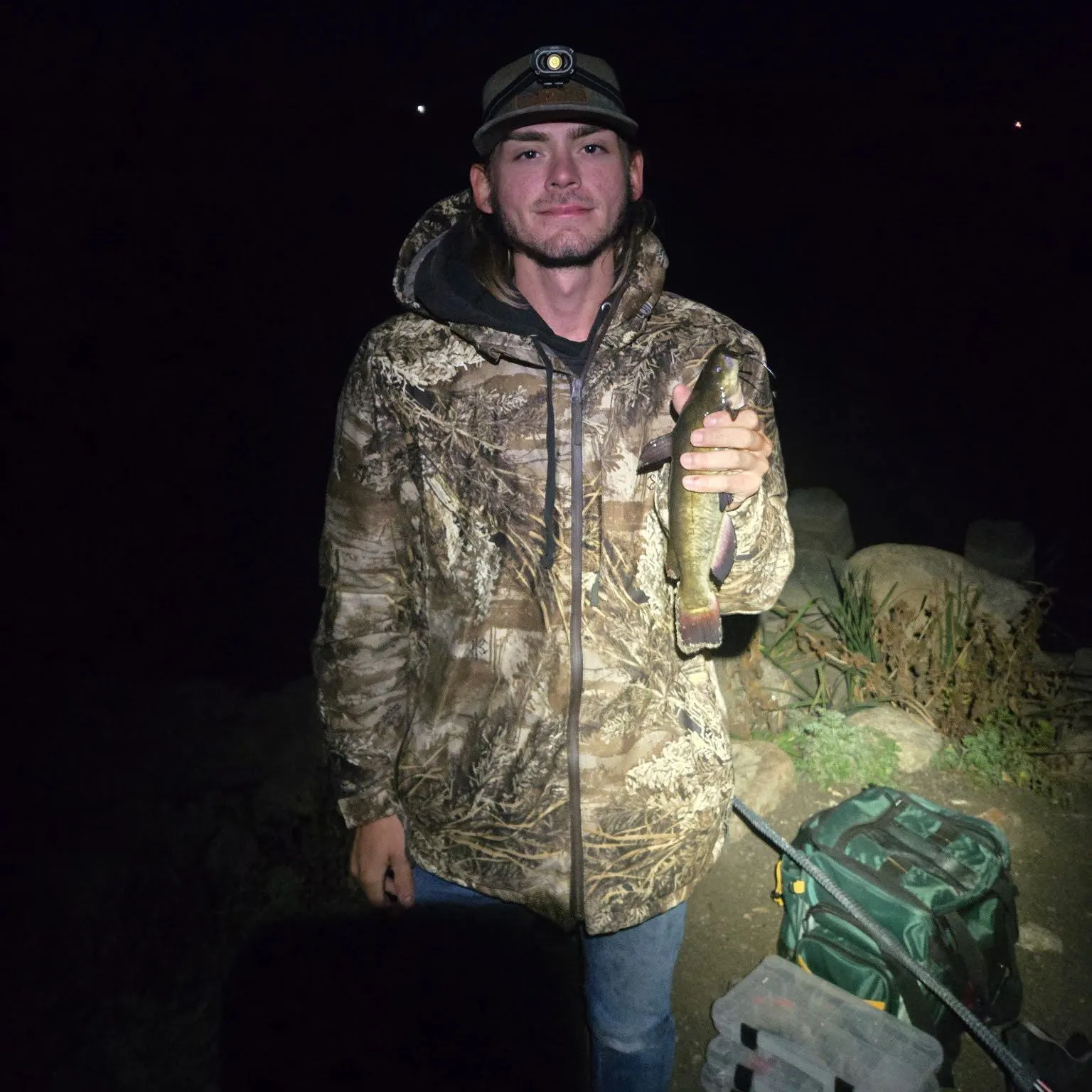 Yellow bullhead caught on Fishbrain
