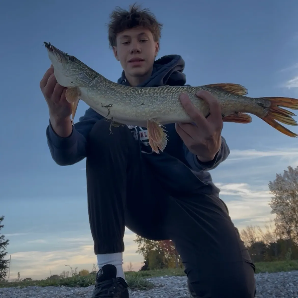 Northern pike caught on Fishbrain