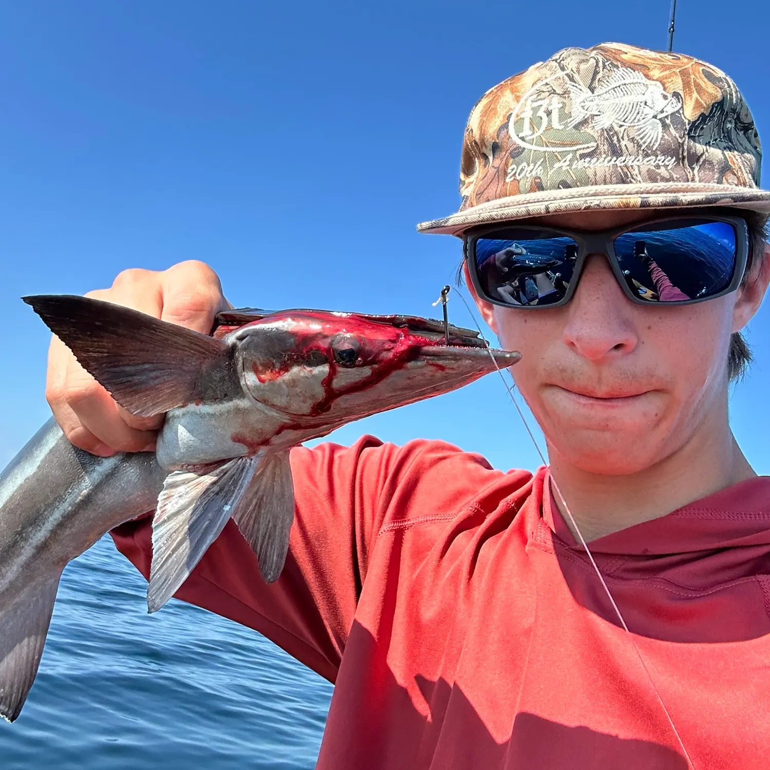 The most recent Common remora catches on Fishbrain