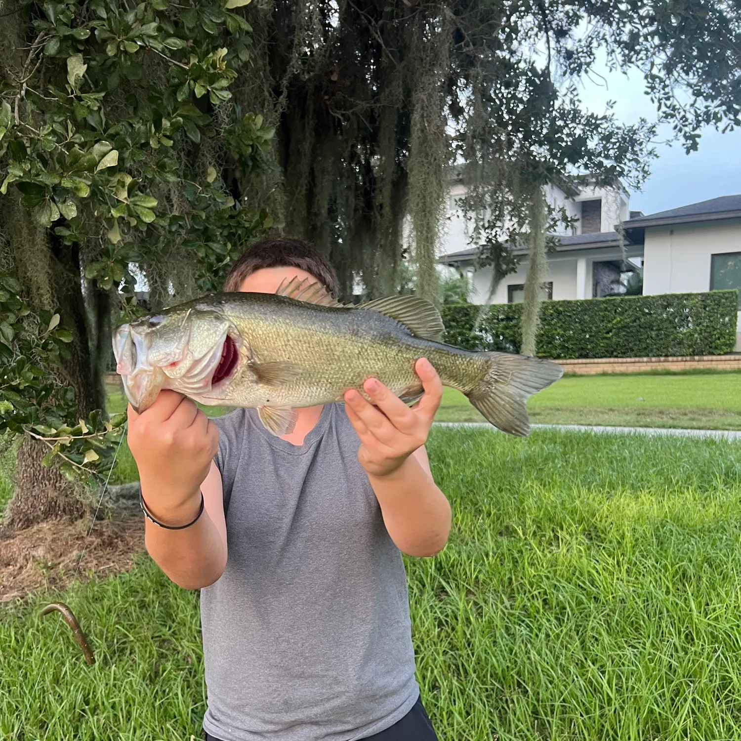 Fish caught on Fishbrain