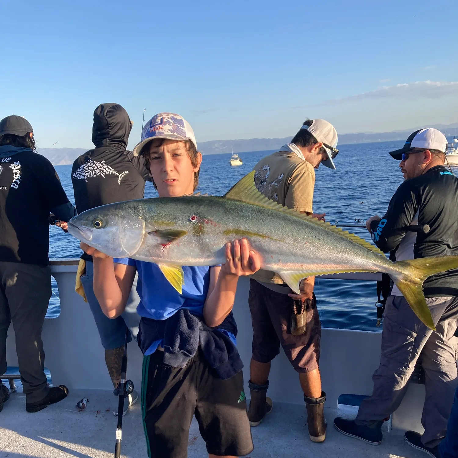 California yellowtail amberjack caught on Fishbrain