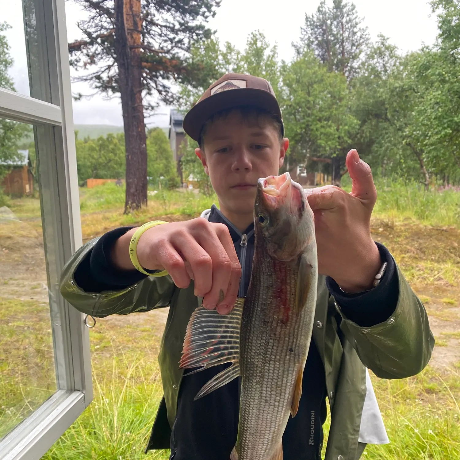 The most recent European grayling catches on Fishbrain