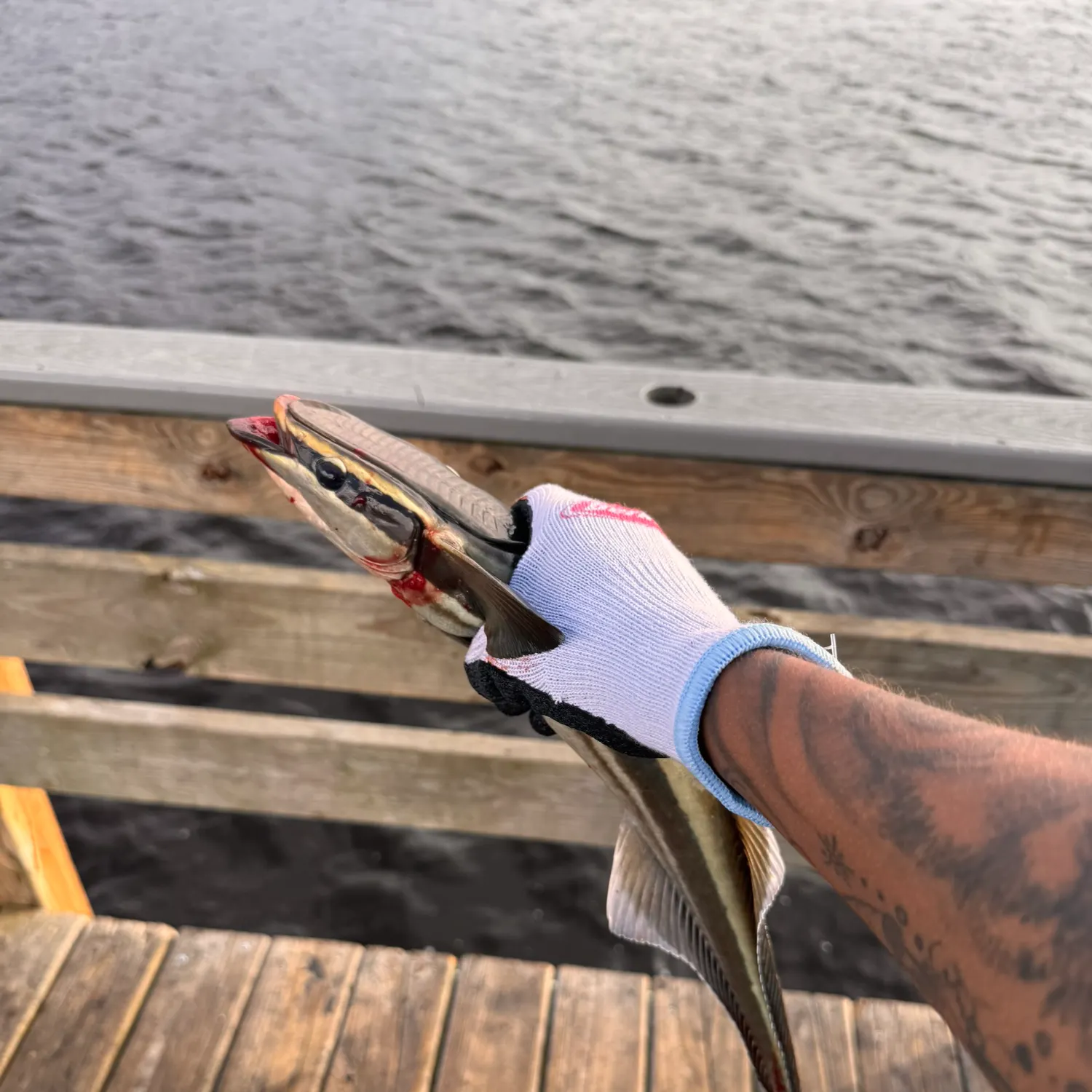 catch