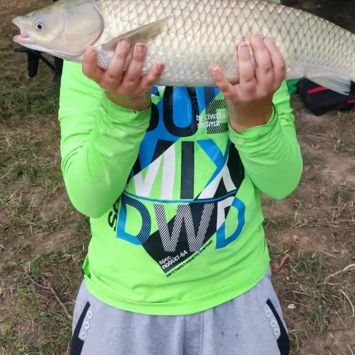 Grass carp caught on Fishbrain