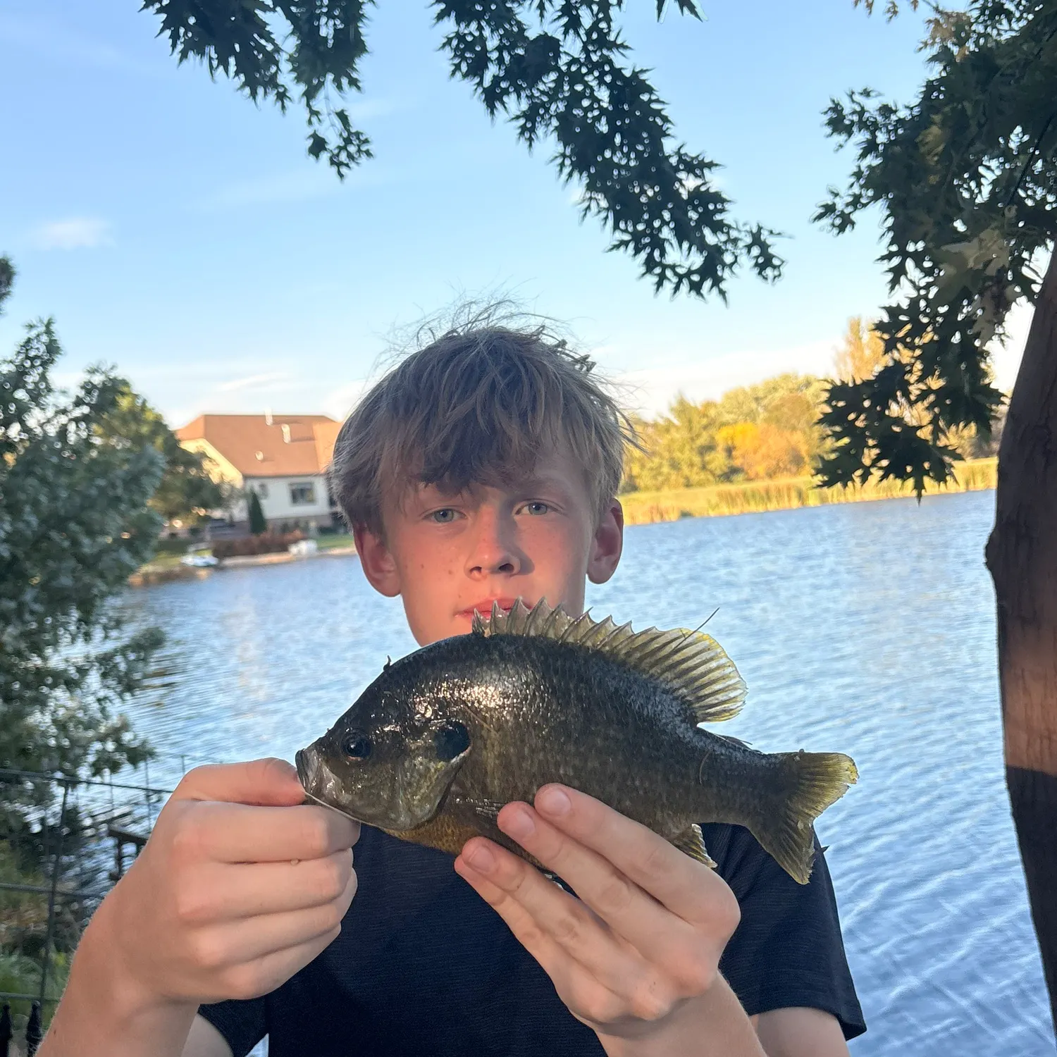 Bluegill caught on Fishbrain