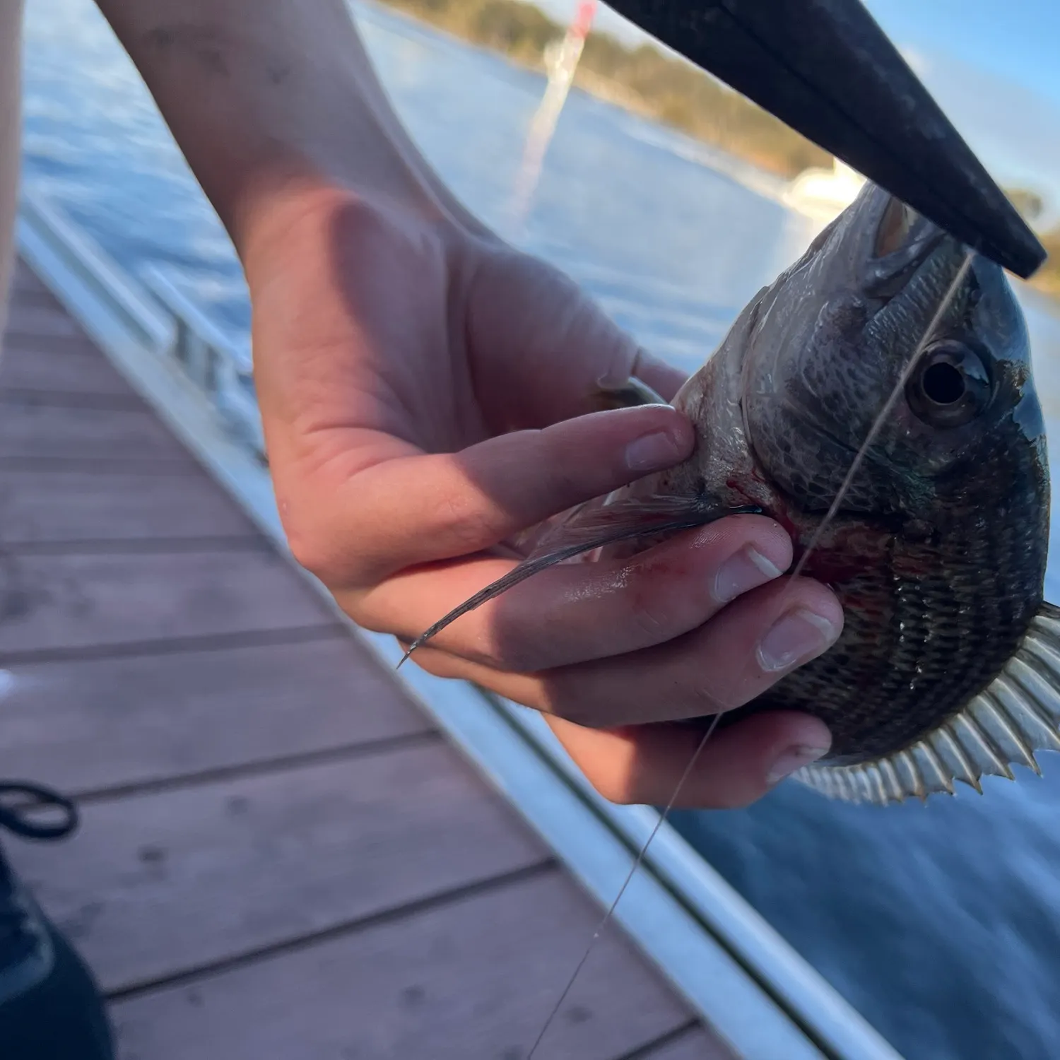 catch
