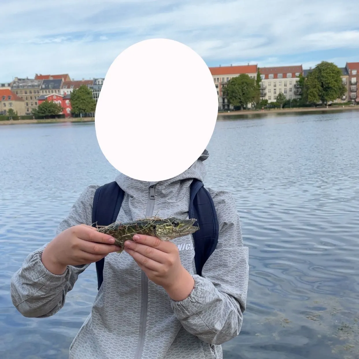 Northern pike caught on Fishbrain