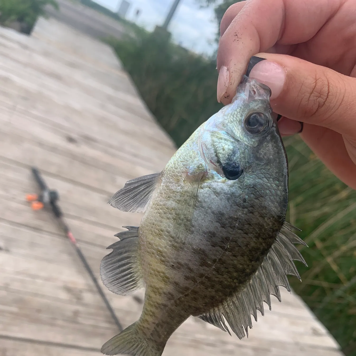 catch