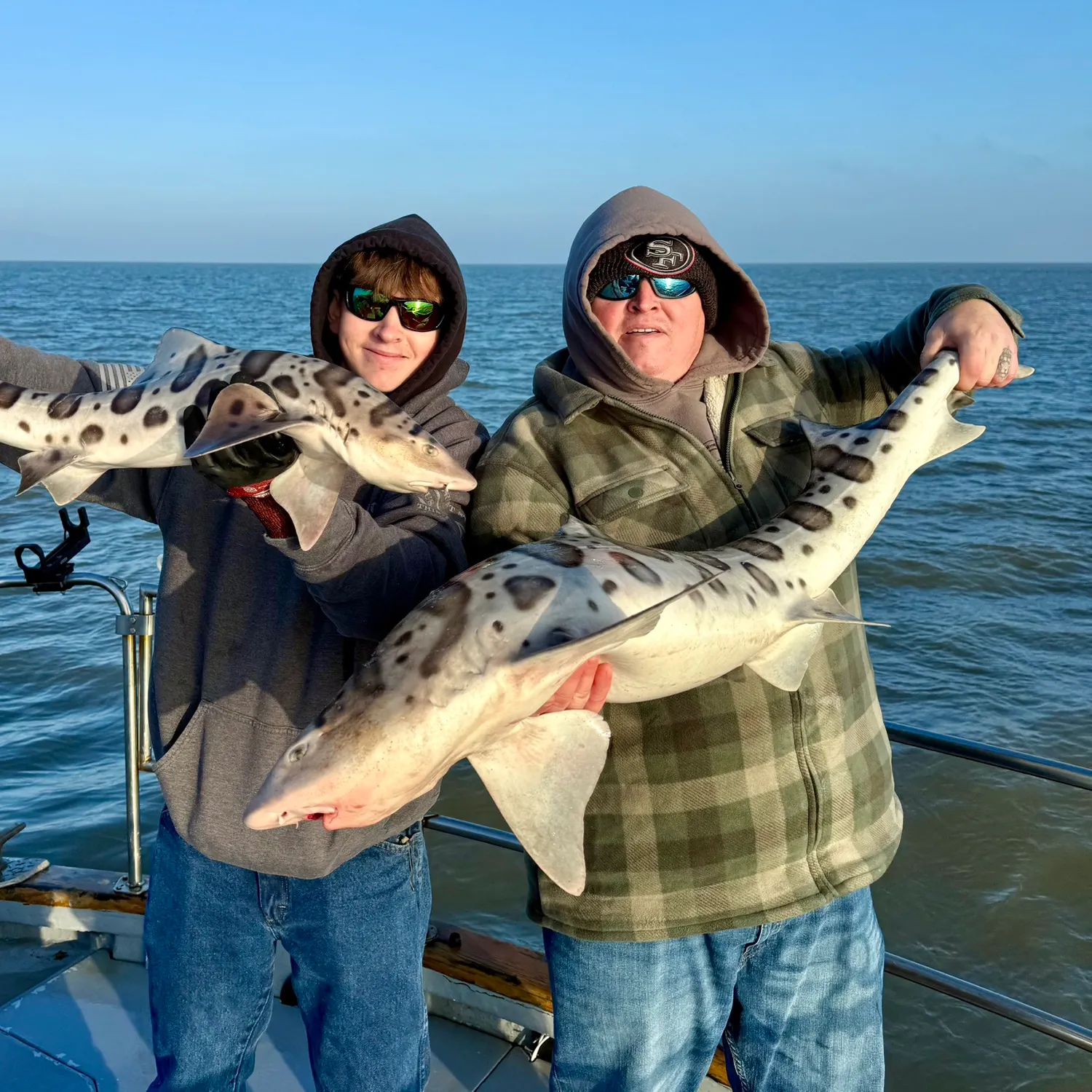 The most recent Leopard shark catches on Fishbrain