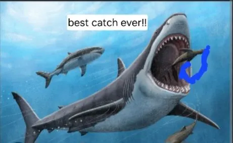 most liked catch image