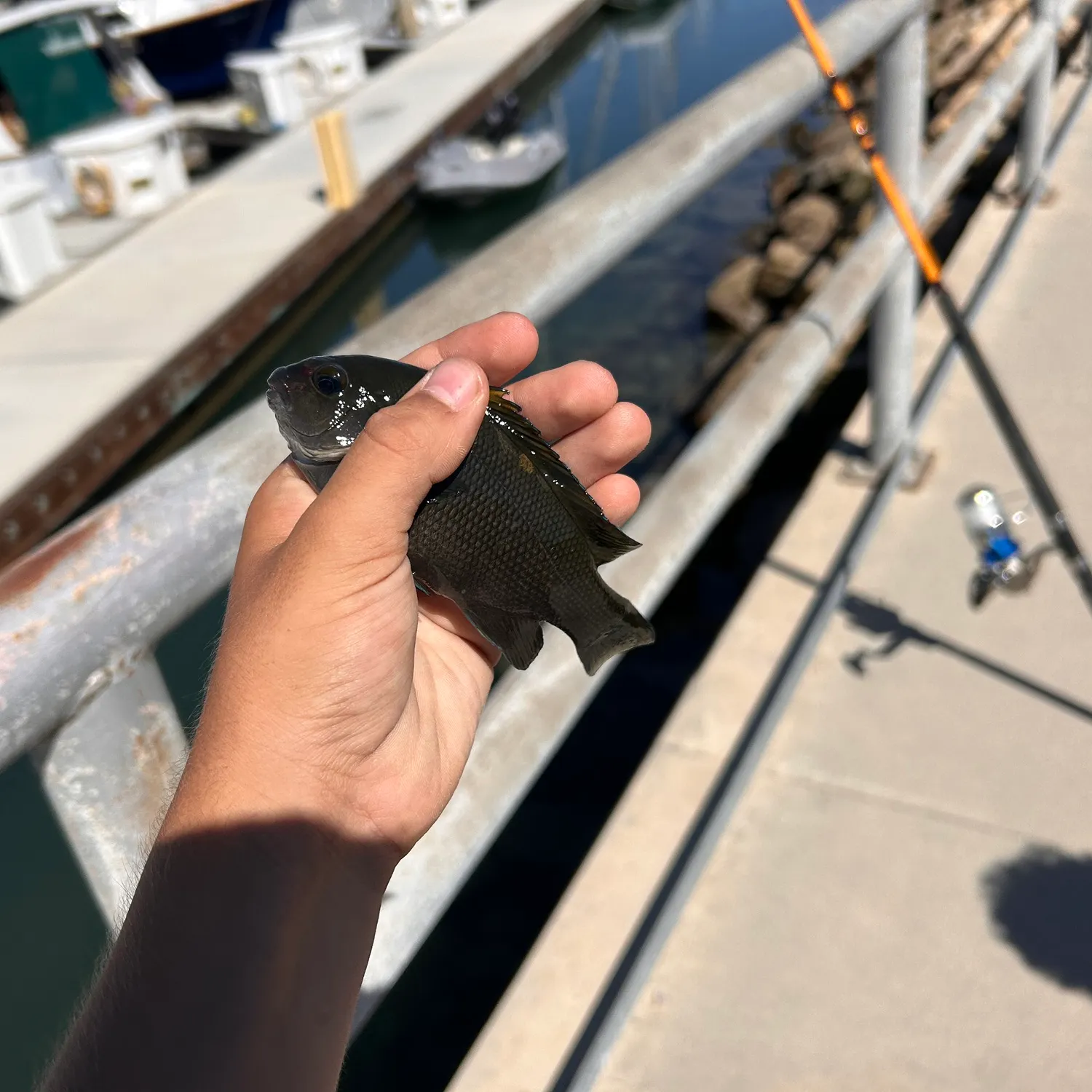 catch